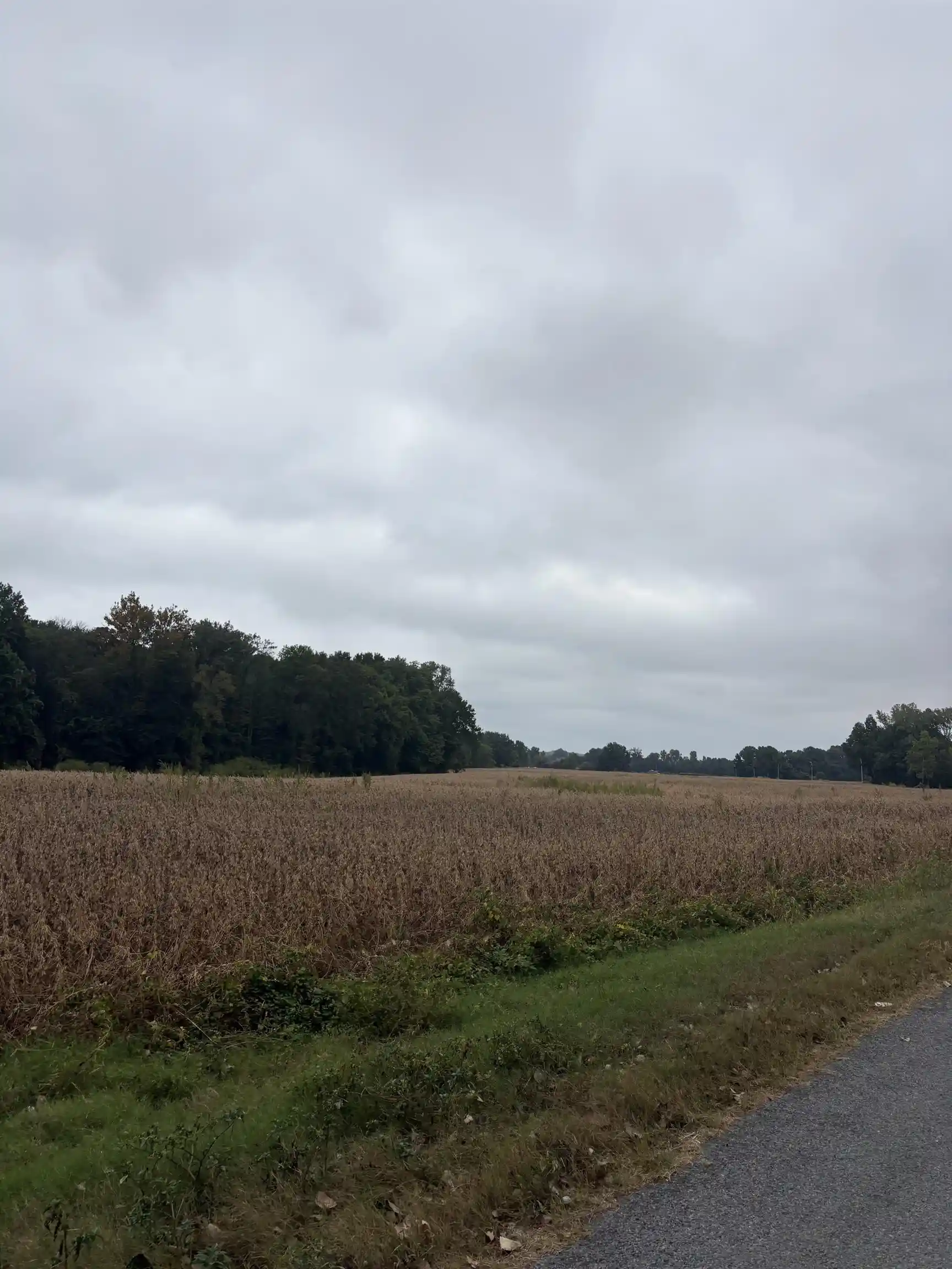 Photo 1 of Sale Pending at 00 Lynn School Rd, Ripley, TN 38063 | MLS# 10230991 | Listing updated on 2026-09-23