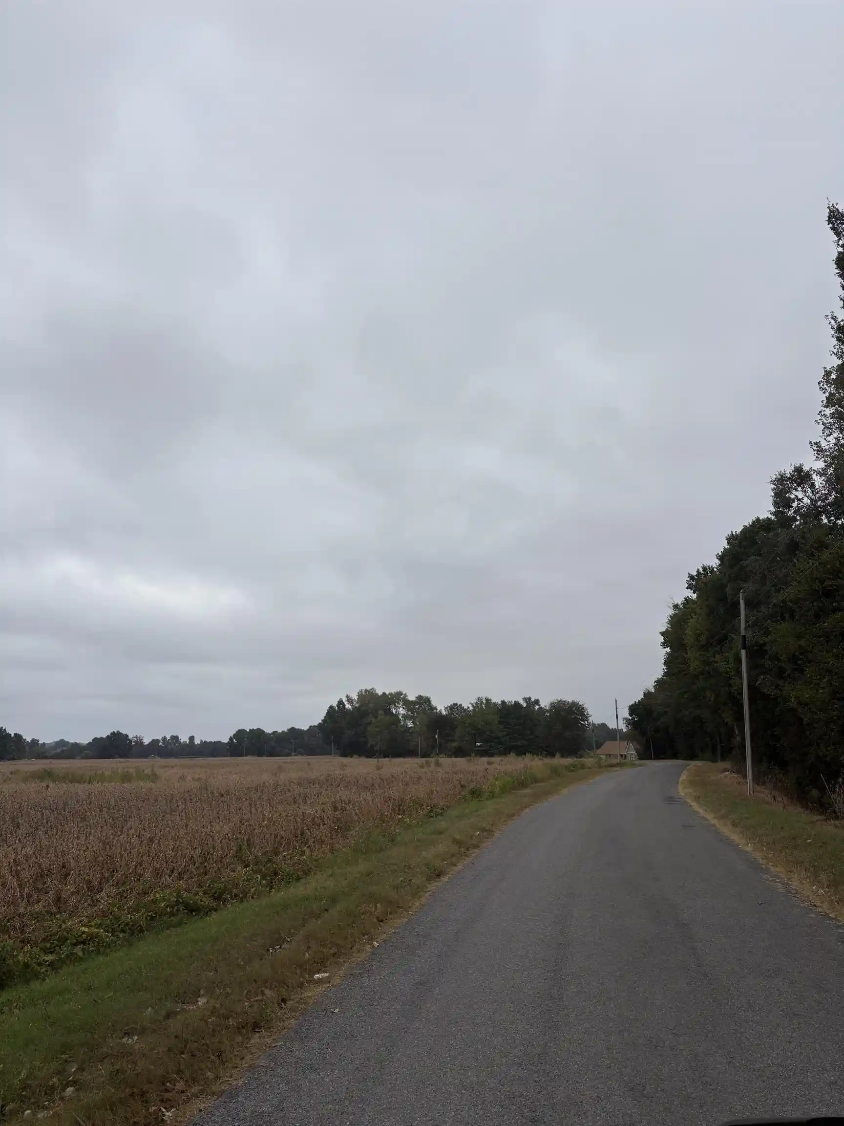Photo 2 of Sale Pending at 00 Lynn School Rd, Ripley, TN 38063 | MLS# 10230991 | Listing updated on 2026-09-23