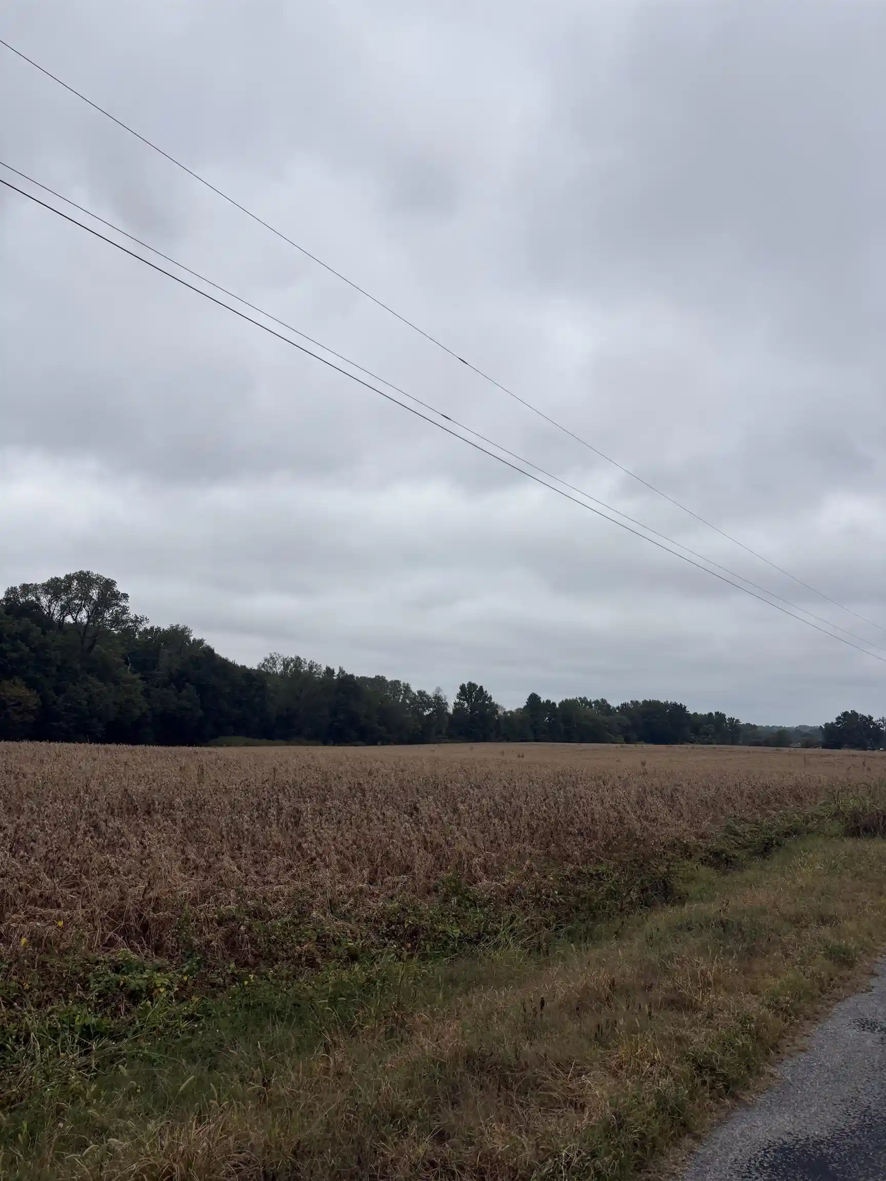 Photo 3 of Sale Pending at 00 Lynn School Rd, Ripley, TN 38063 | MLS# 10230991 | Listing updated on 2026-09-23