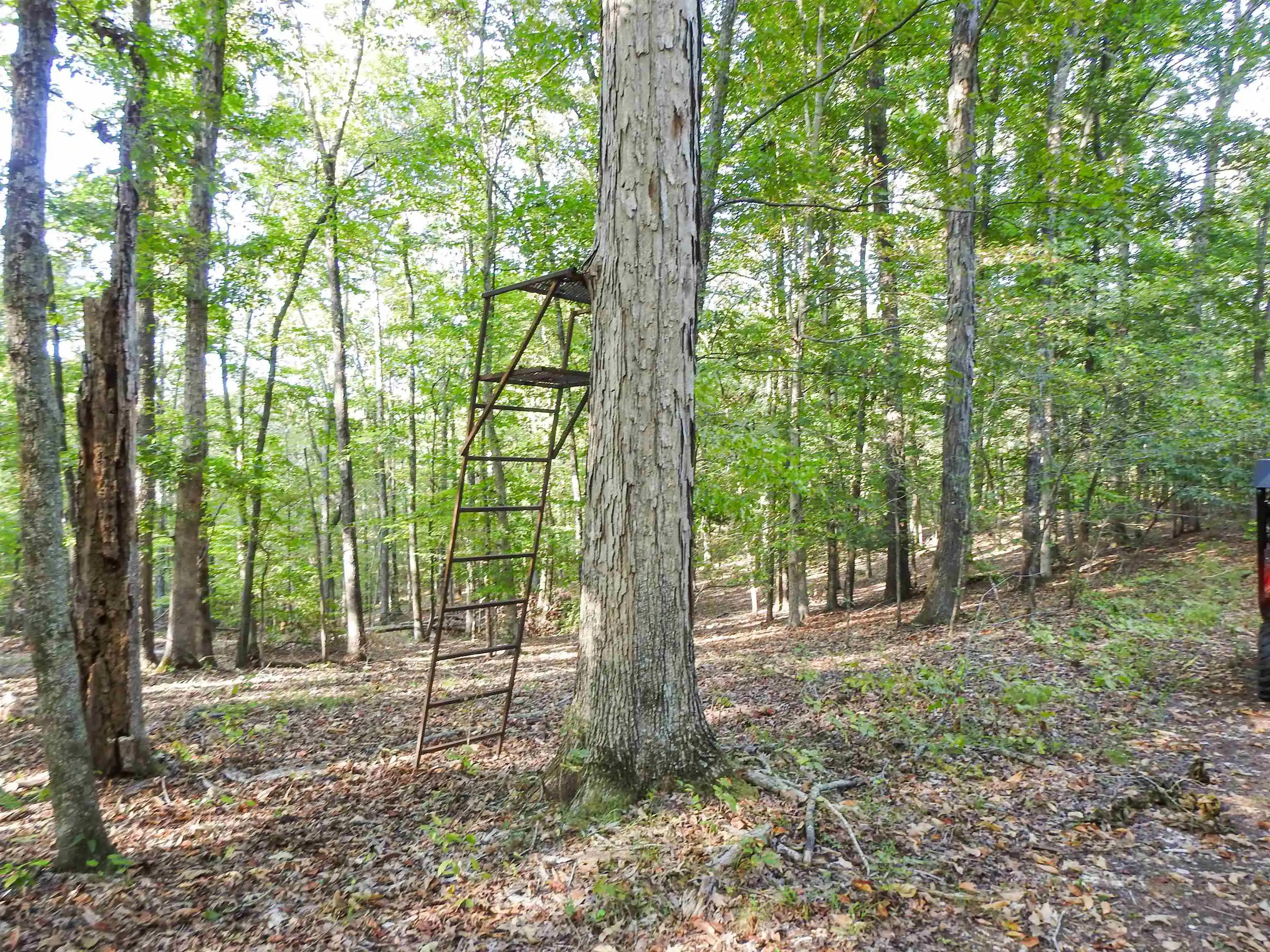 Photo 2 of Land for sale at Hornsby Loop, Bolivar, TN 38008 | MLS# 10230998 | Listing updated on 2026-09-23