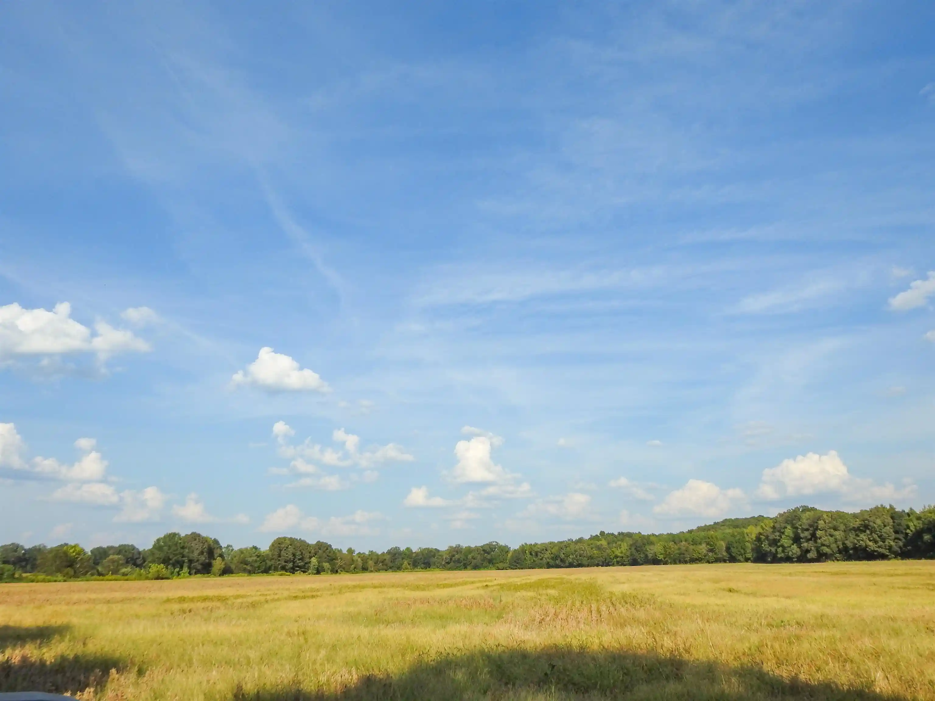 Photo 3 of Land for sale at Hornsby Loop, Bolivar, TN 38008 | MLS# 10230998 | Listing updated on 2026-09-23