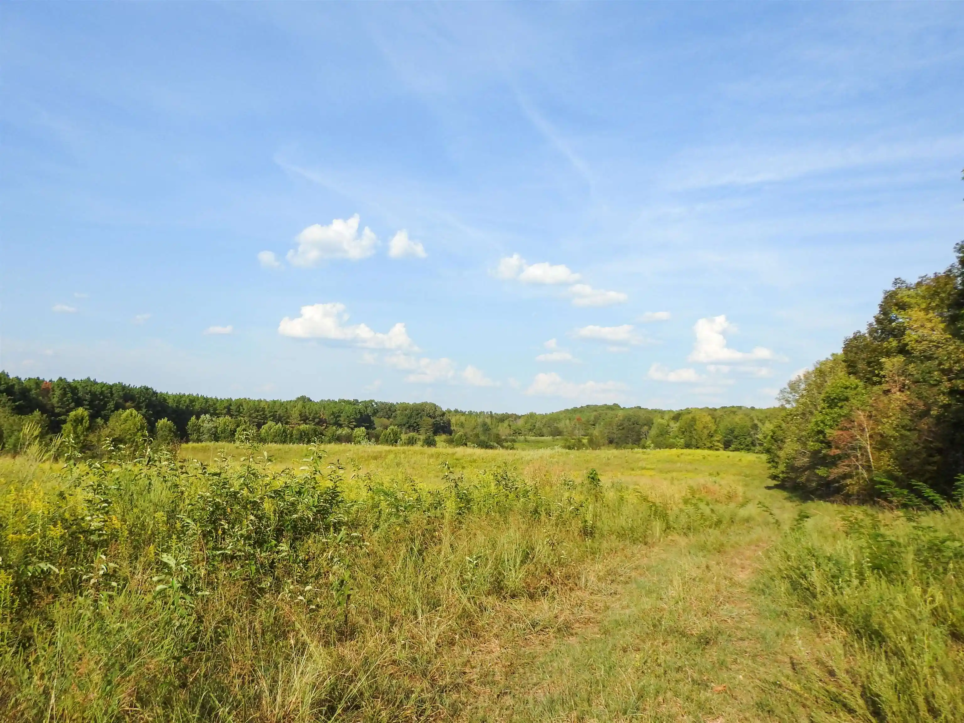 Photo 3 of Land for sale at Hornsby Loop, Bolivar, TN 38008 | MLS# 10230998 | Listing updated on 2026-09-23