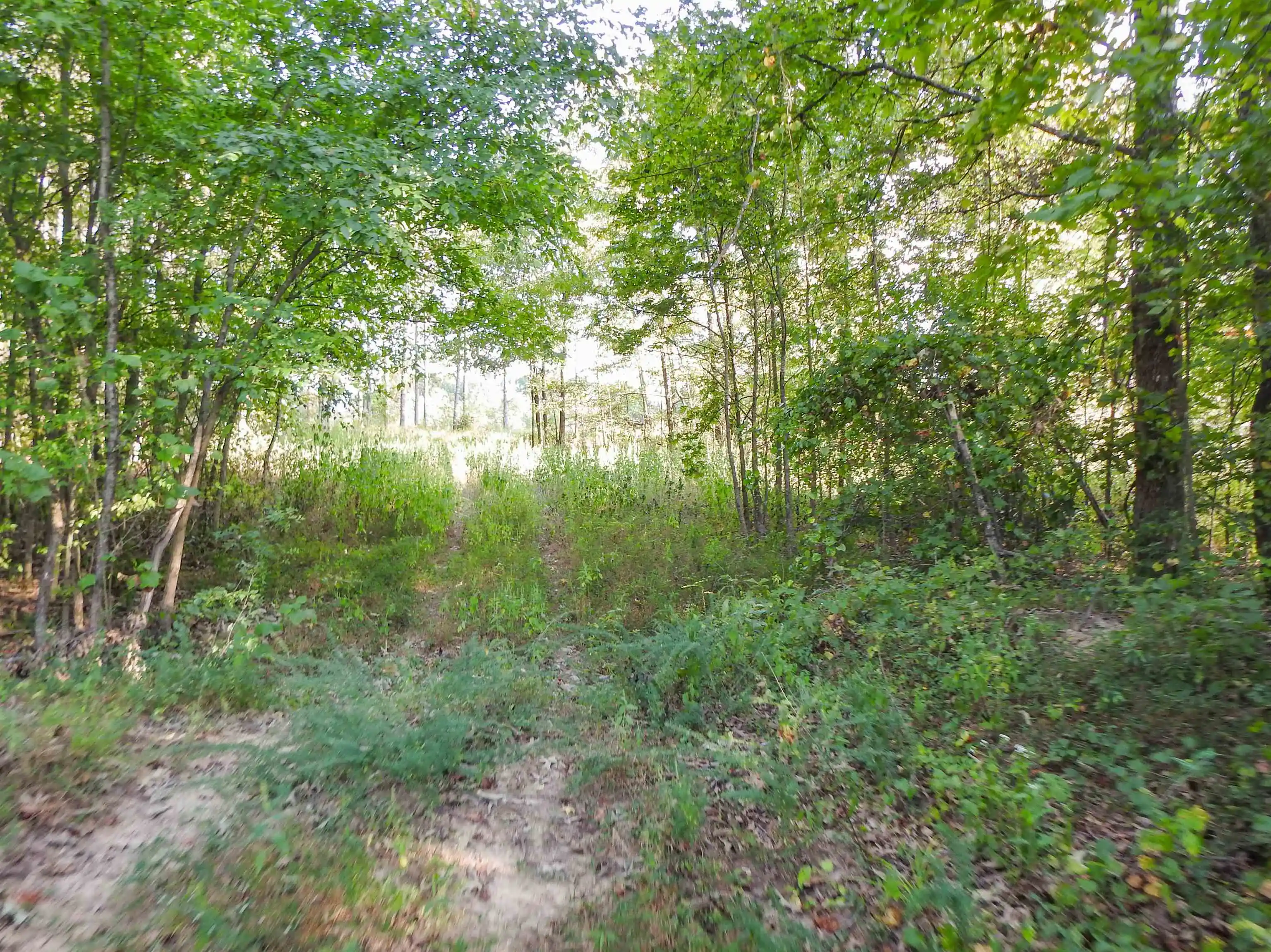Photo 4 of Land for sale at Hornsby Loop, Bolivar, TN 38008 | MLS# 10230998 | Listing updated on 2026-09-23