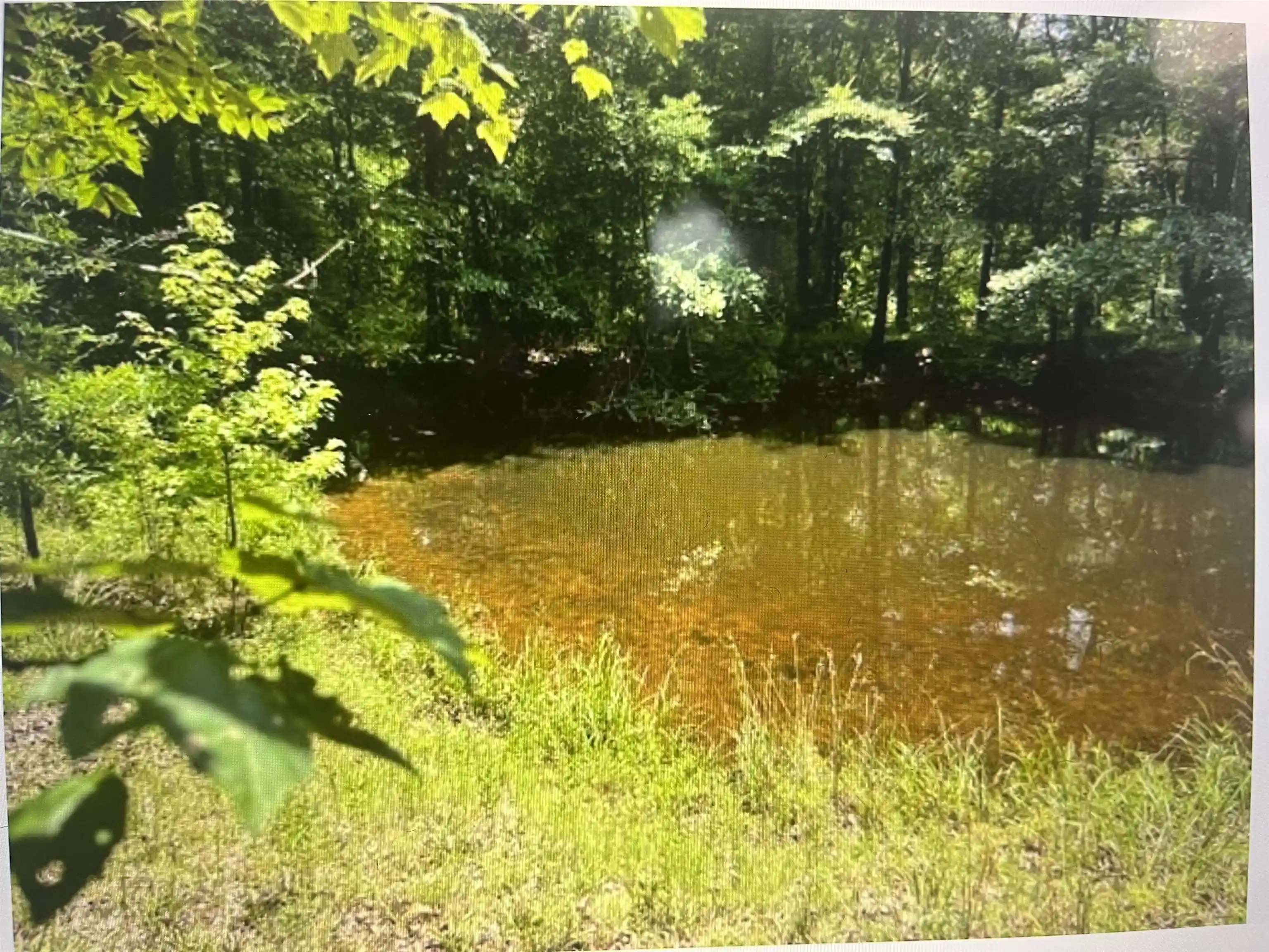 Land for sale at 196 Boyd Ln, Stanton, TN 38069 | MLS# 10231055