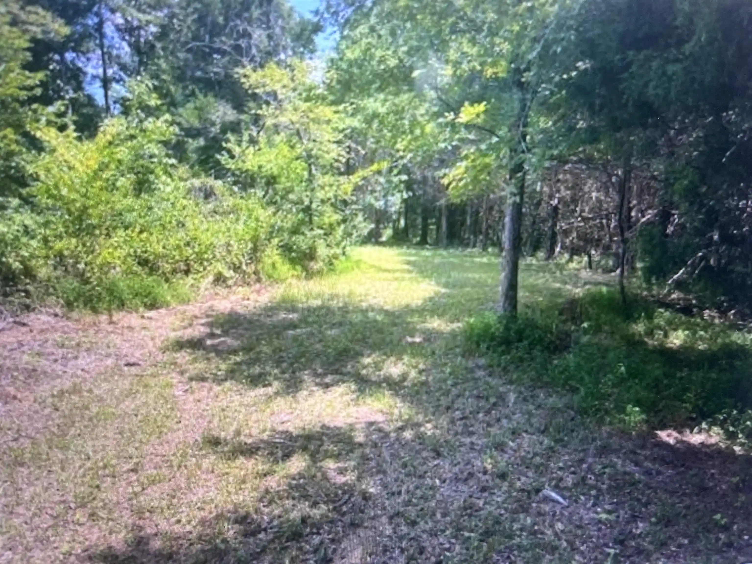 Photo 3 of Land for sale at 196 Boyd Ln, Stanton, TN 38069 | MLS# 10231055 | Listing updated on 2026-09-24