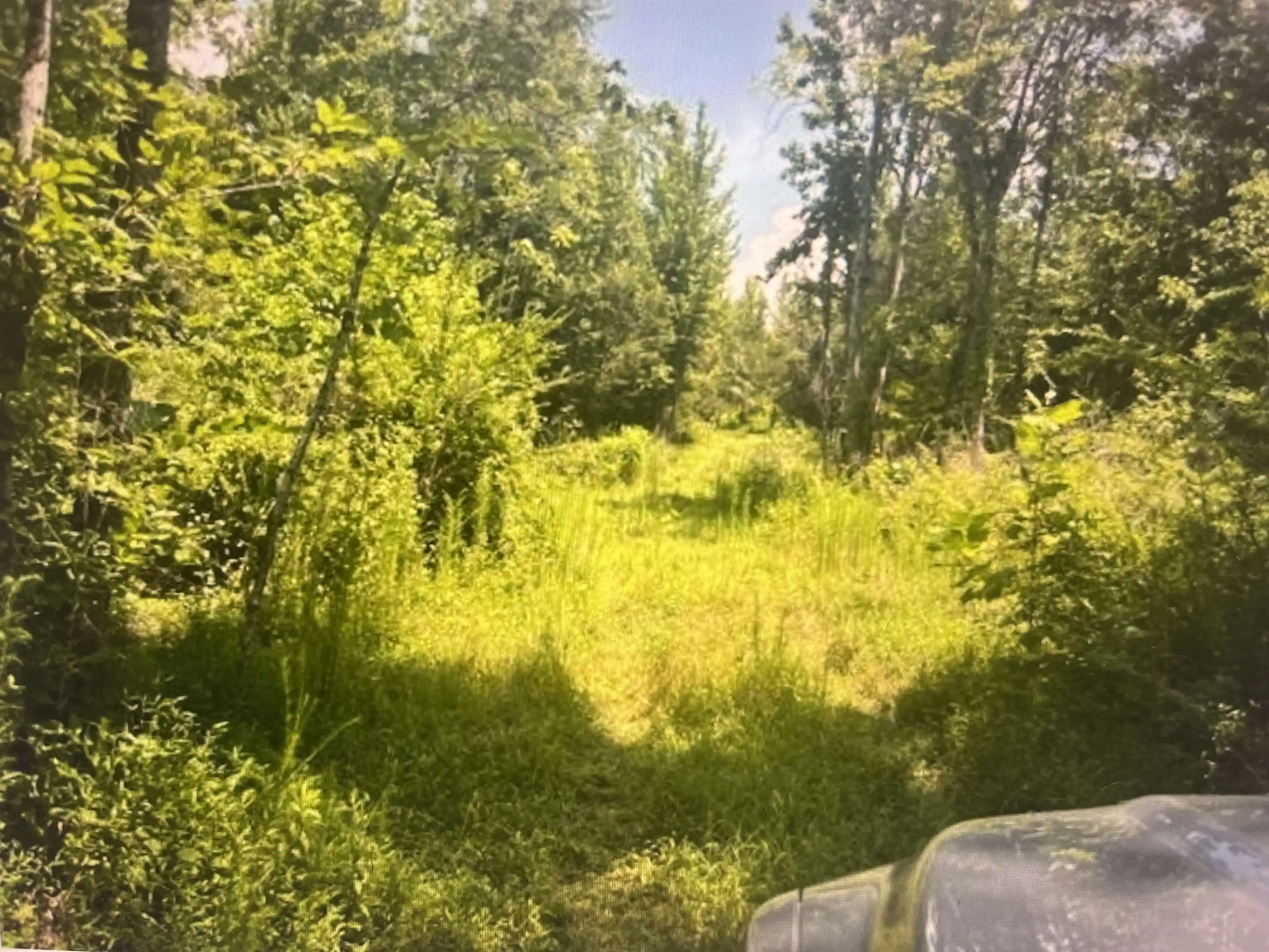 Photo 3 of Land for sale at 196 Boyd Ln, Stanton, TN 38069 | MLS# 10231055 | Listing updated on 2026-09-24