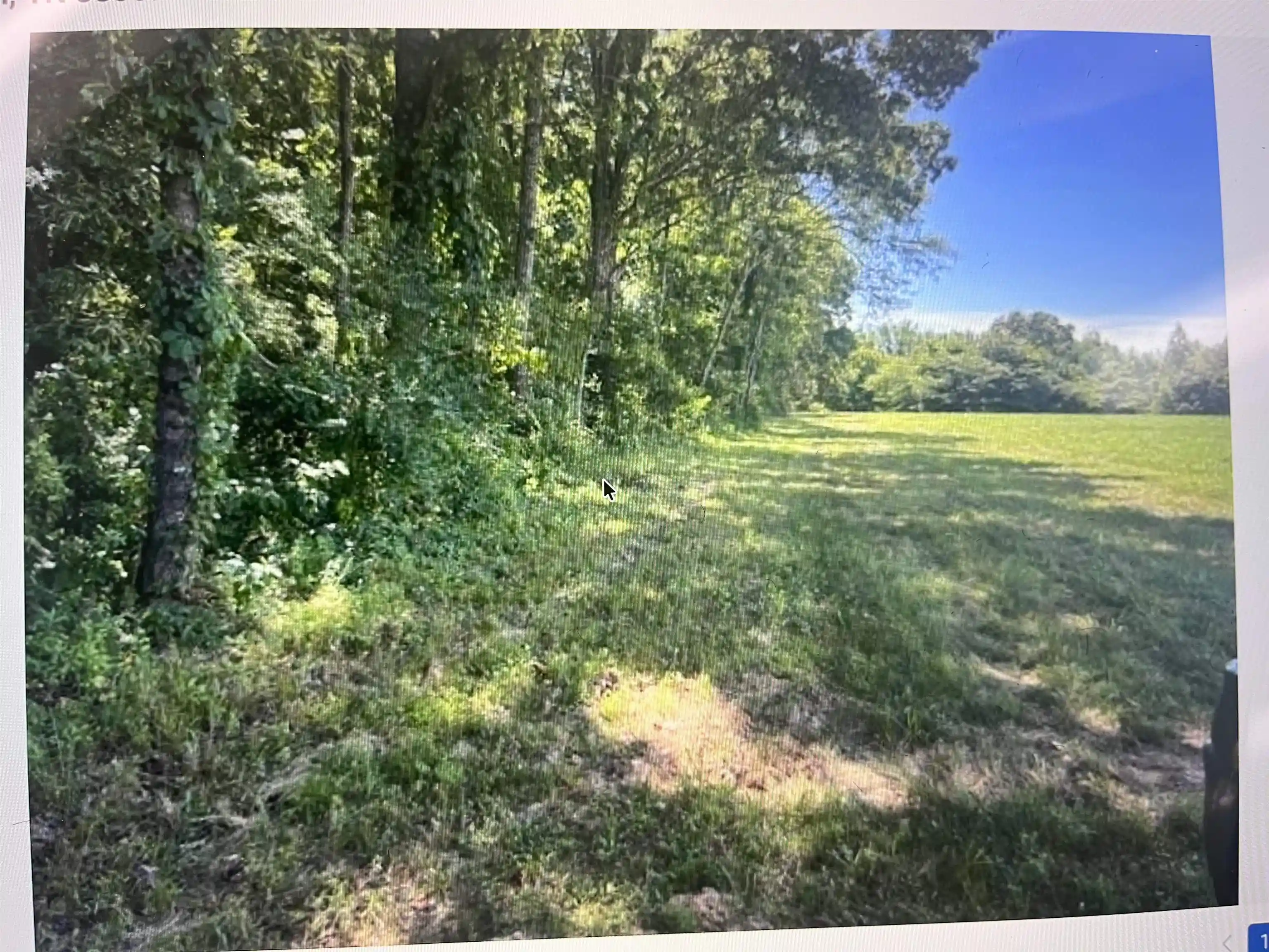 Photo 4 of Land for sale at 196 Boyd Ln, Stanton, TN 38069 | MLS# 10231055 | Listing updated on 2026-09-24