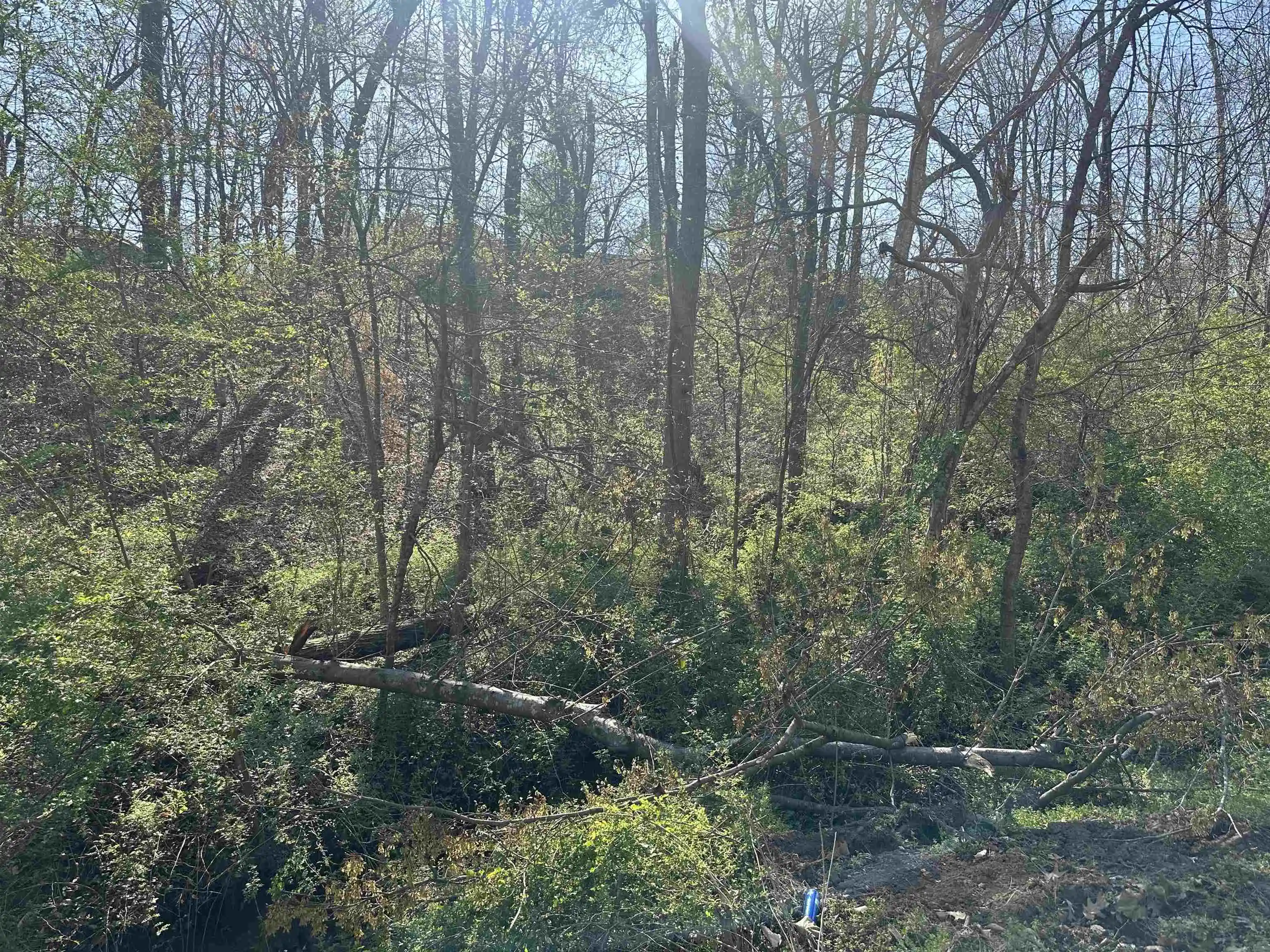 Photo 3 of Sale Pending at Lot 2 Crump Landing Rd, Crump, TN 38327 | MLS# 10231160 | Listing updated on 2026-10-09