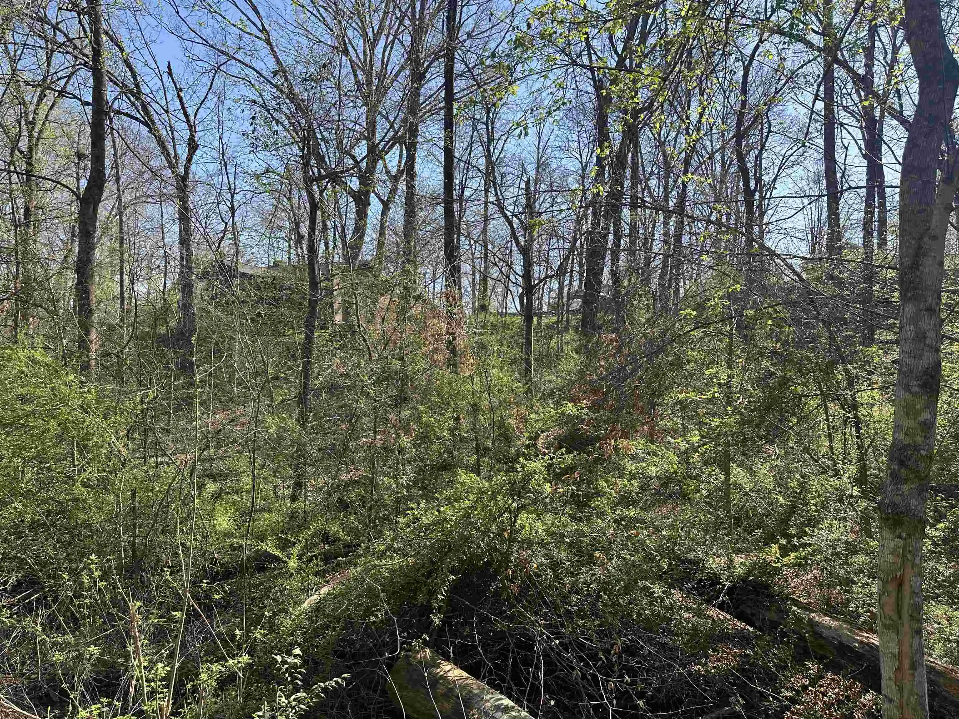 Photo 3 of Sale Pending at Lot 2 Crump Landing Rd, Crump, TN 38327 | MLS# 10231160 | Listing updated on 2026-10-09