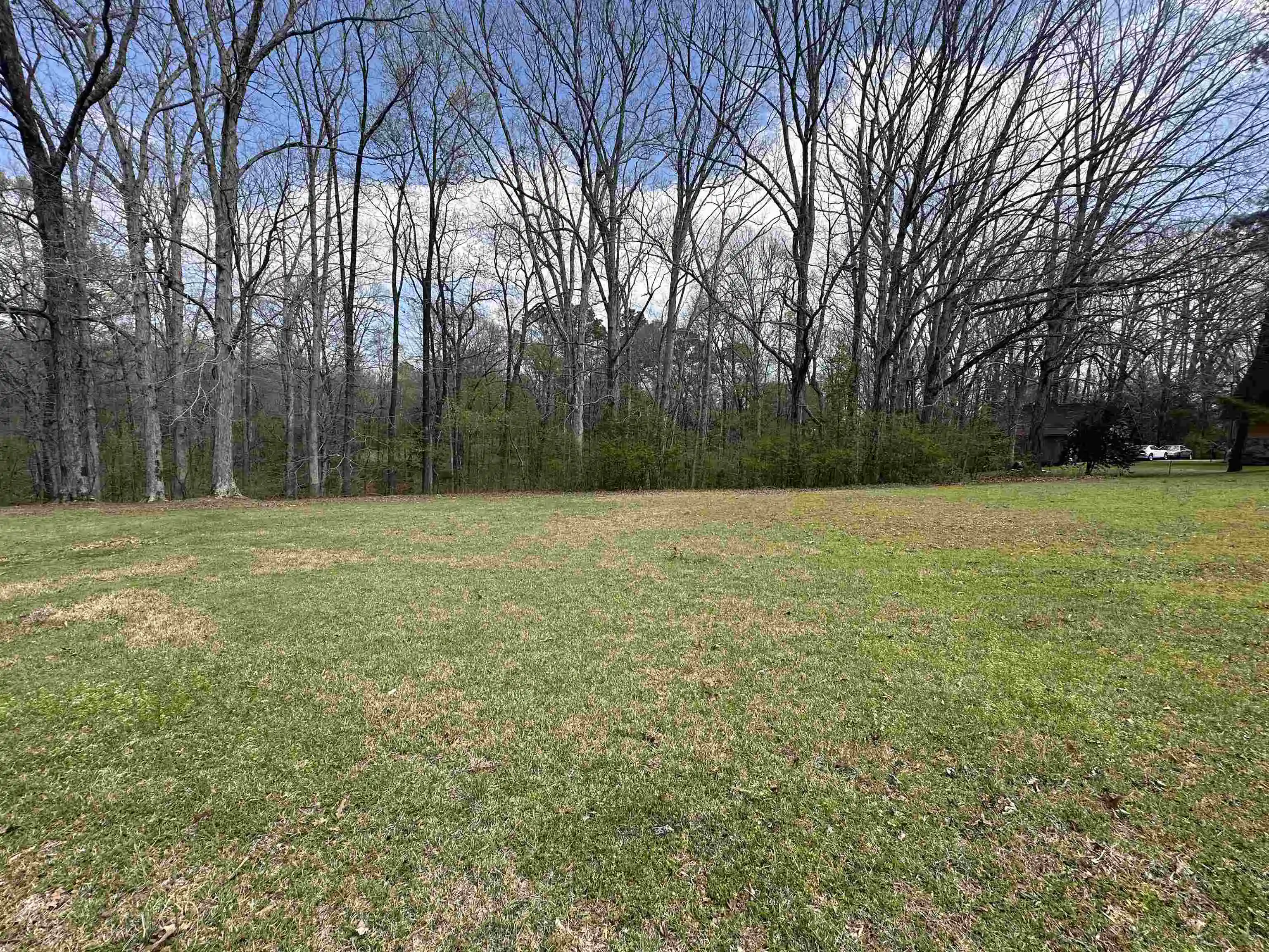 Photo 1 of Land for sale at 0 Shelby Ln, Bolivar, TN 38008 | MLS# 10231192 | Listing updated on 2026-09-26