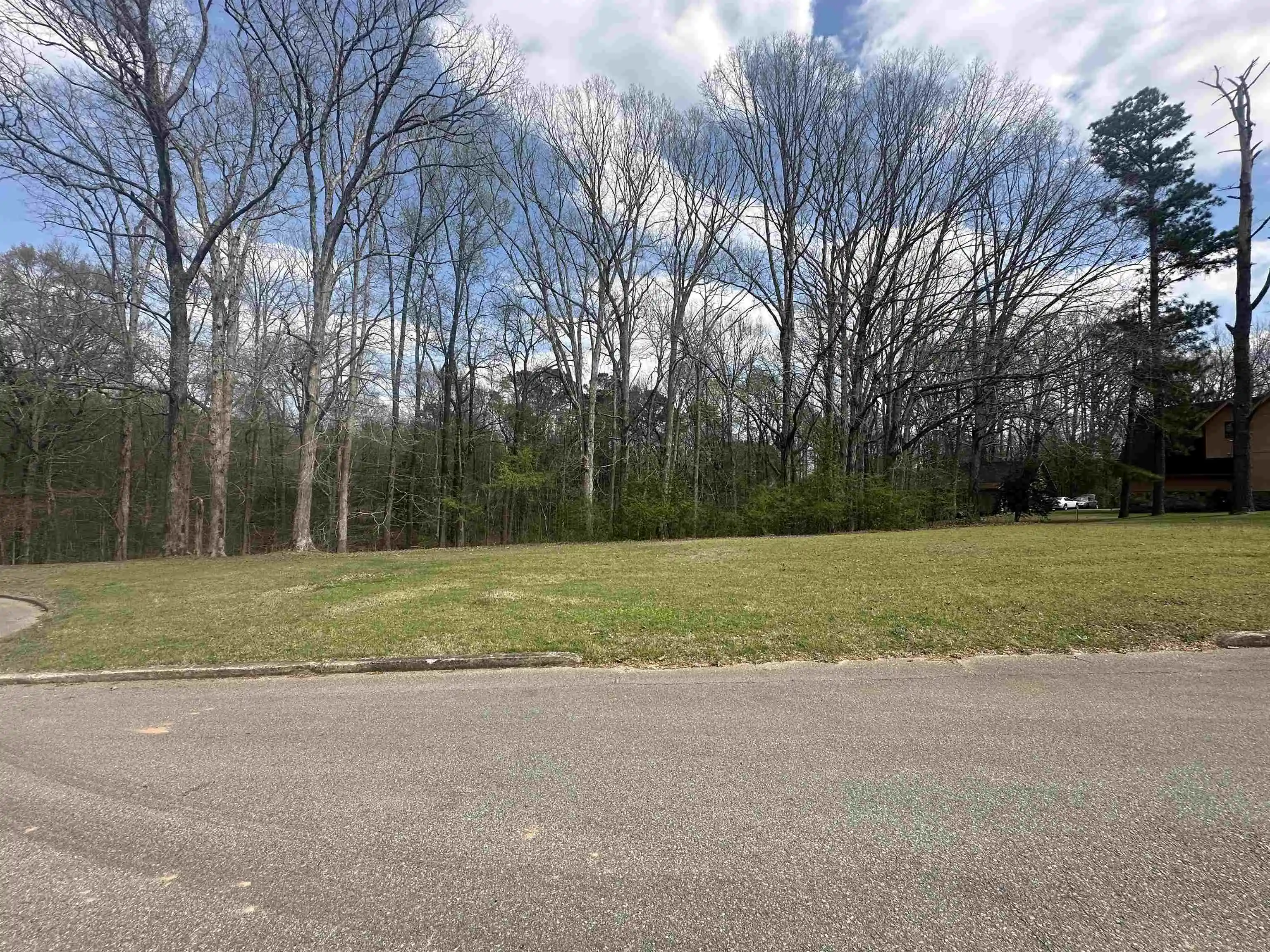 Photo 2 of Land for sale at 0 Shelby Ln, Bolivar, TN 38008 | MLS# 10231192 | Listing updated on 2026-09-26