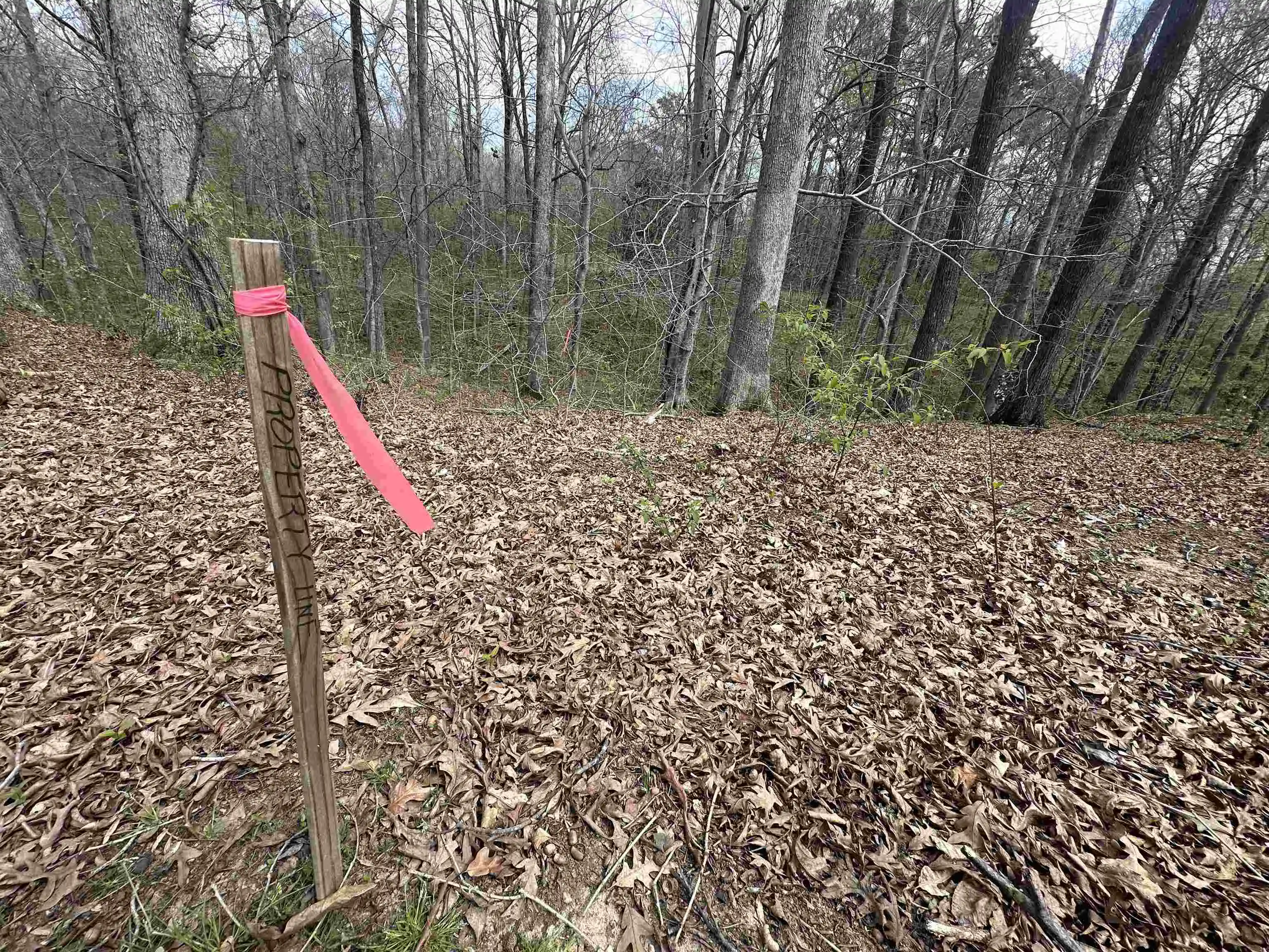 Photo 3 of Land for sale at 0 Shelby Ln, Bolivar, TN 38008 | MLS# 10231192 | Listing updated on 2026-09-26