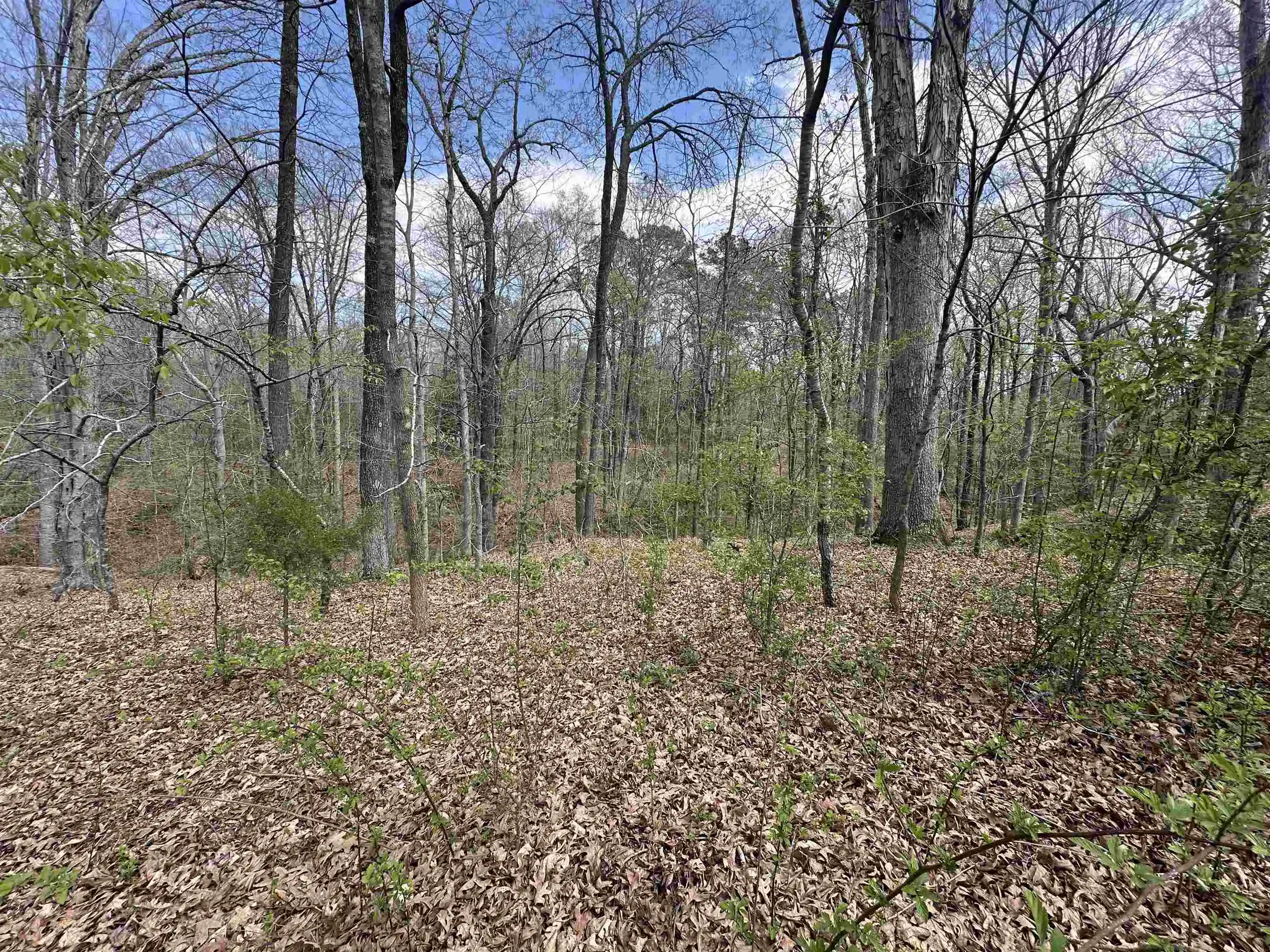 Photo 4 of Land for sale at 0 Shelby Ln, Bolivar, TN 38008 | MLS# 10231192 | Listing updated on 2026-09-26