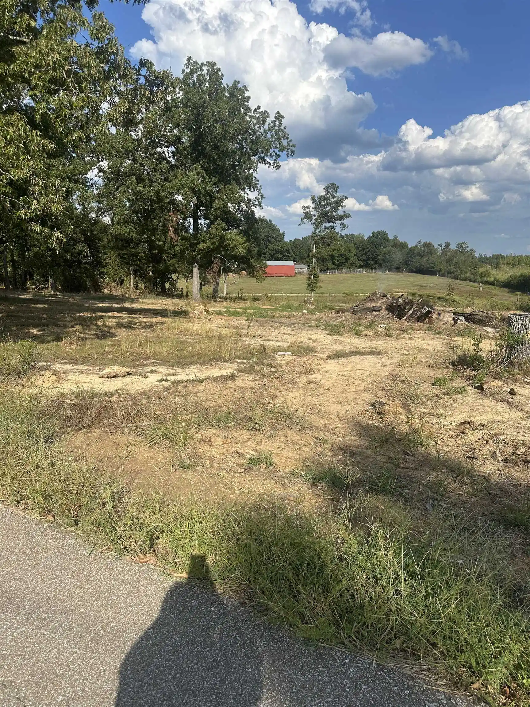 Photo 3 of Land for sale at 1827 Neely Sharp Rd, Adamsville, TN 38310 | MLS# 10231194 | Listing updated on 2026-09-28