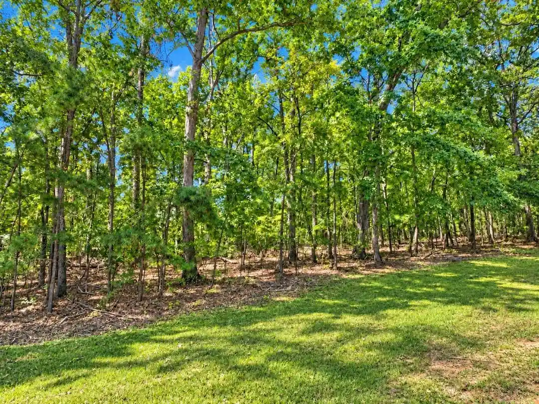 Photo 1 of Land for sale at Lot 495 Briar Crk Cv, Counce, TN 38326 | MLS# 10231211 | Listing updated on 2026-10-01