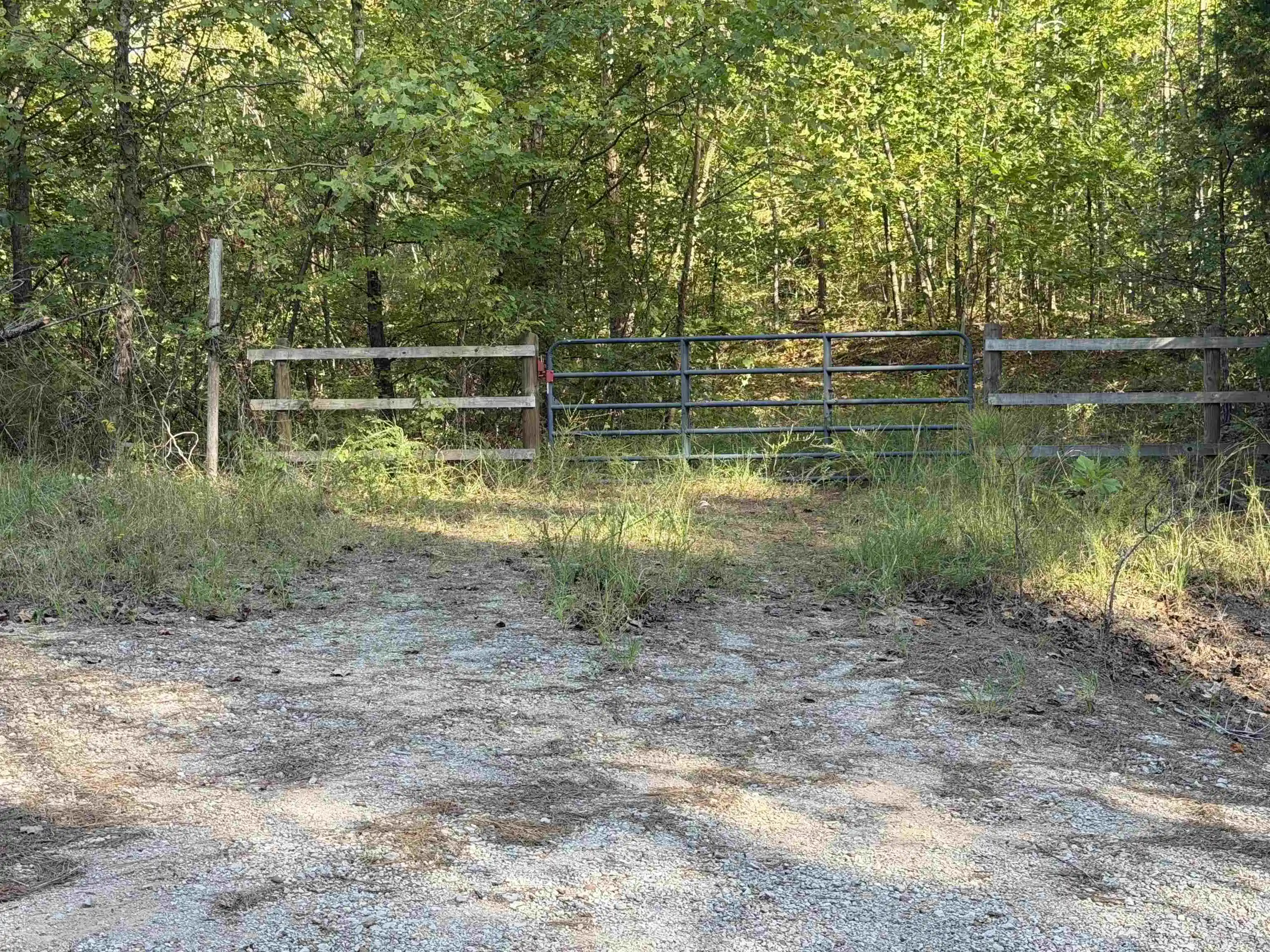 Photo 1 of Land for sale at 7905 Sain Rd, Bolivar, TN 38008 | MLS# 10231258 | Listing updated on 2026-09-28