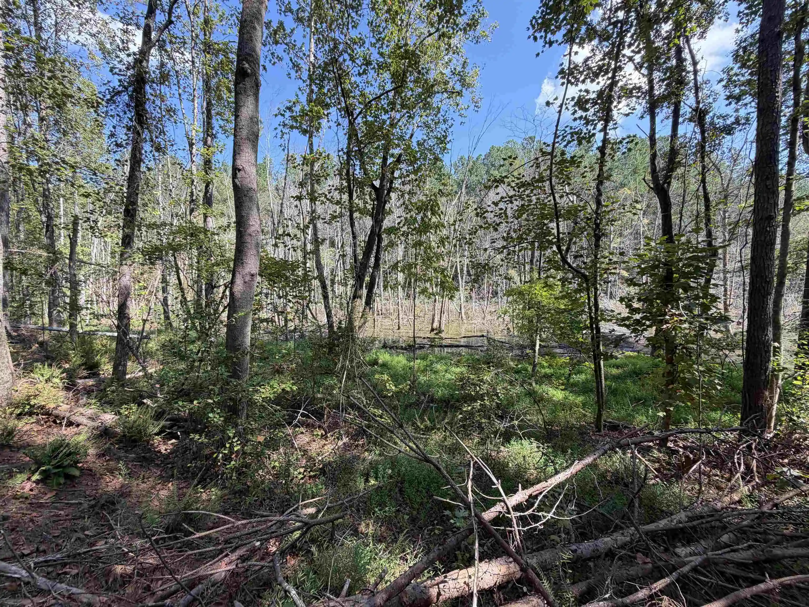 Photo 2 of Land for sale at 7905 Sain Rd, Bolivar, TN 38008 | MLS# 10231258 | Listing updated on 2026-09-28