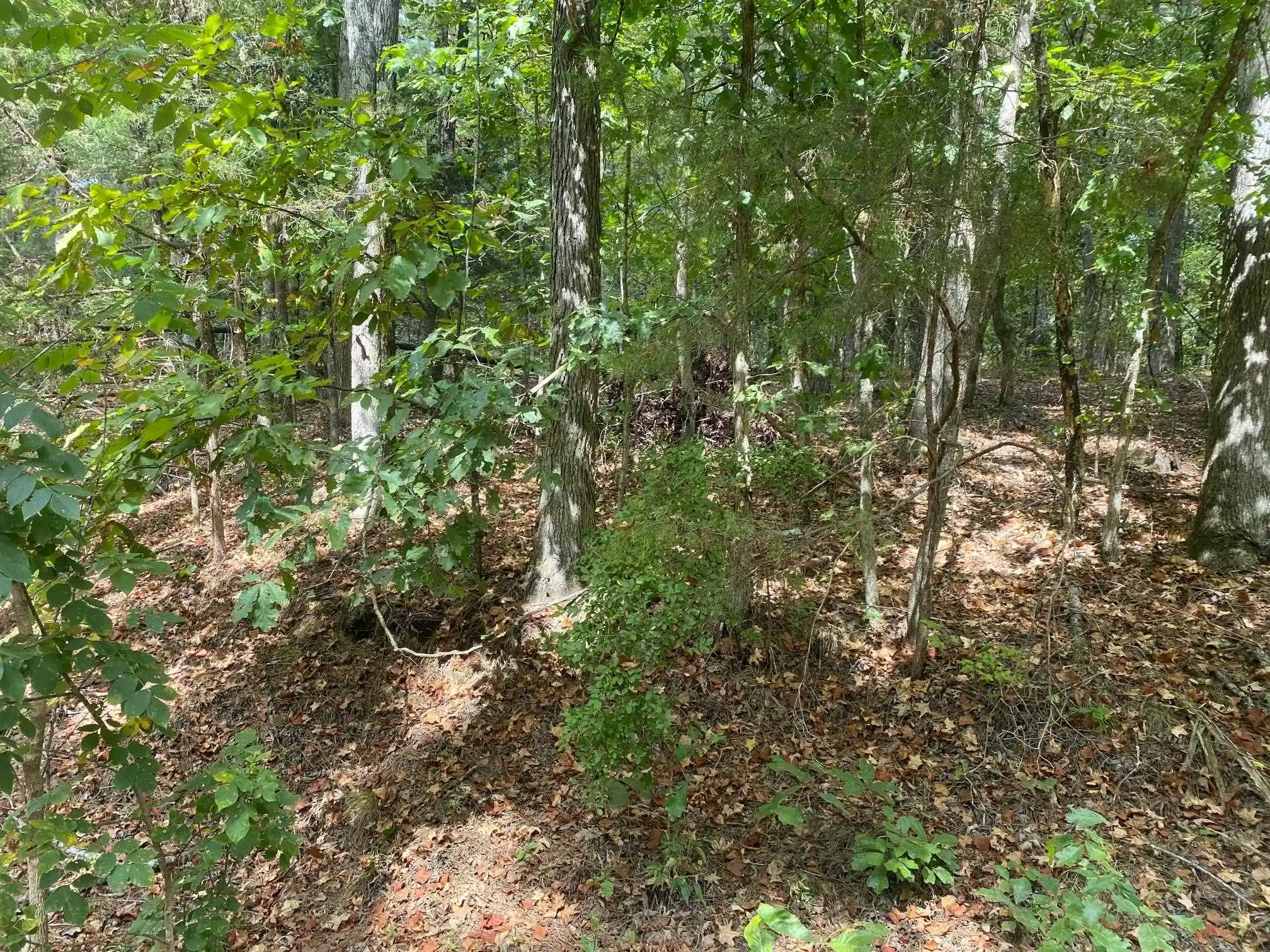 Photo 2 of Land for sale at High Smith Rd, Finger, TN 38334 | MLS# 10231260 | Listing updated on 2026-09-28