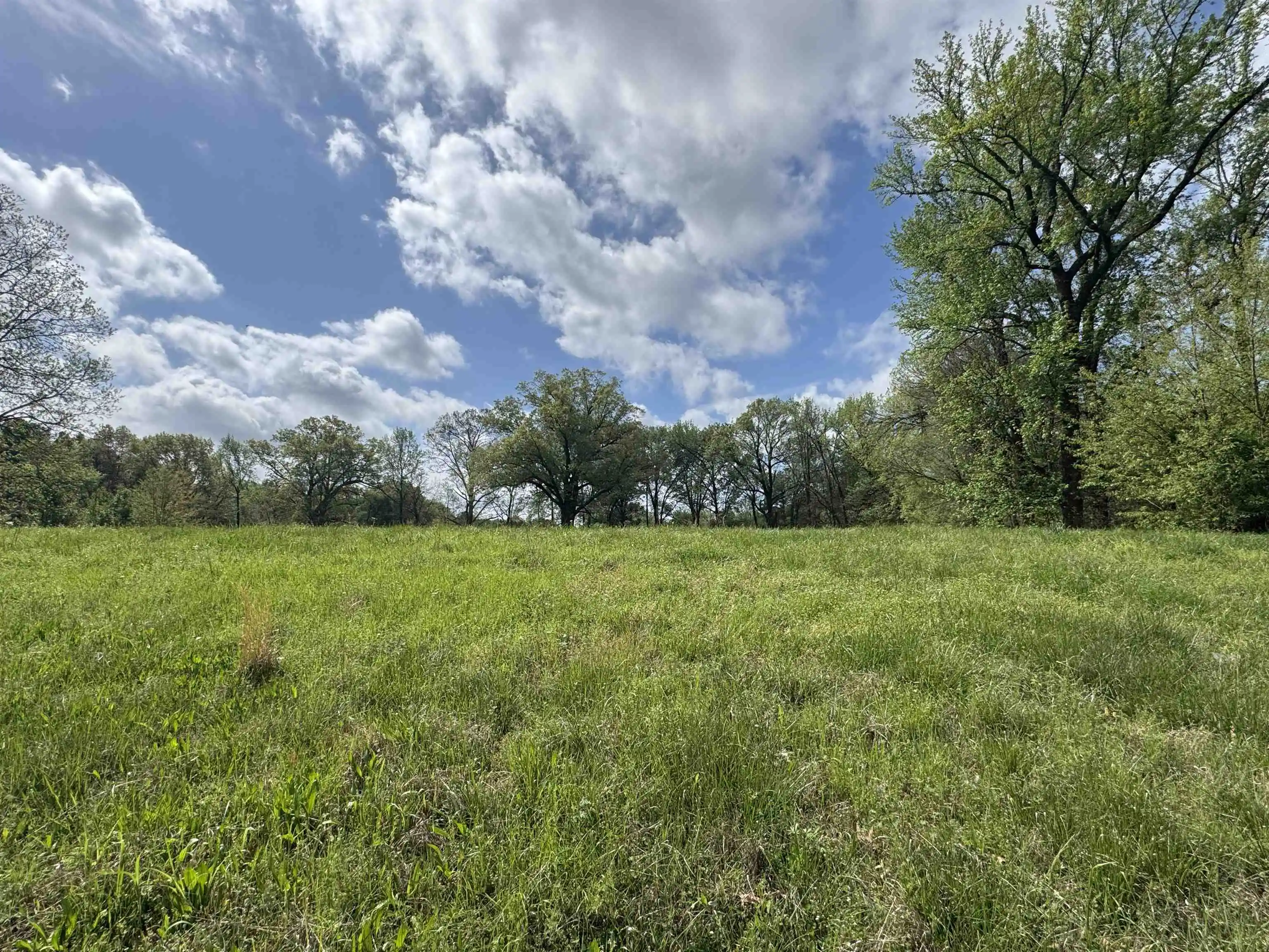 Photo 2 of Land for sale at 1163 W Raines Rd, Memphis, TN 38109 | MLS# 10231285 | Listing updated on 2026-09-28