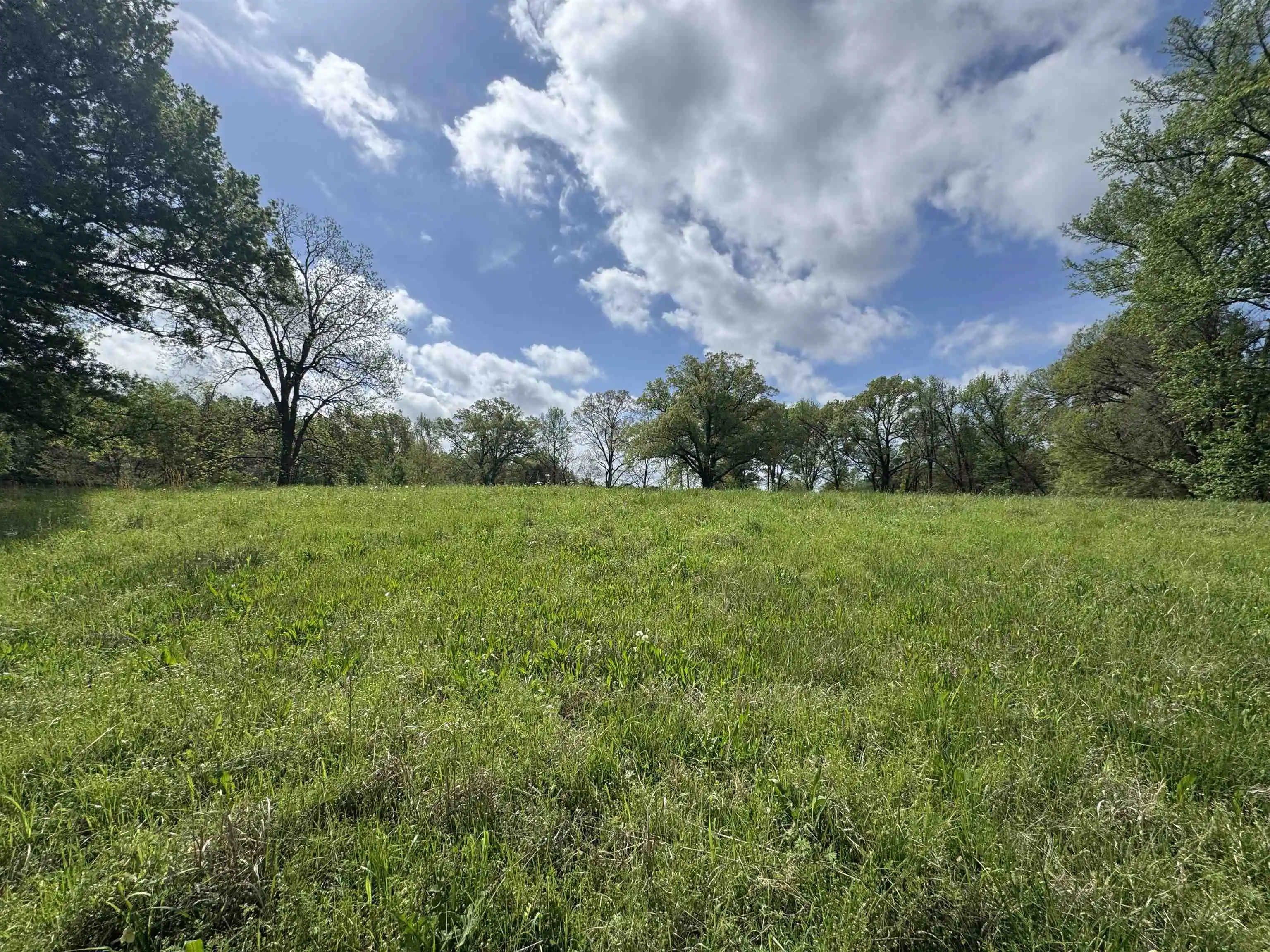 Photo 3 of Land for sale at 1163 W Raines Rd, Memphis, TN 38109 | MLS# 10231285 | Listing updated on 2026-09-28