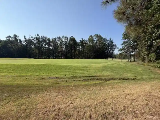 Photo 1 of Land for sale at 56 Timber Ridge Dr, Counce, TN 38326 | MLS# 10231364 | Listing updated on 2026-10-06