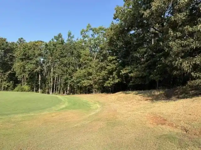 Photo 2 of Land for sale at 56 Timber Ridge Dr, Counce, TN 38326 | MLS# 10231364 | Listing updated on 2026-10-06