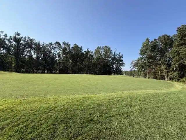 Photo 3 of Land for sale at 56 Timber Ridge Dr, Counce, TN 38326 | MLS# 10231364 | Listing updated on 2026-10-06