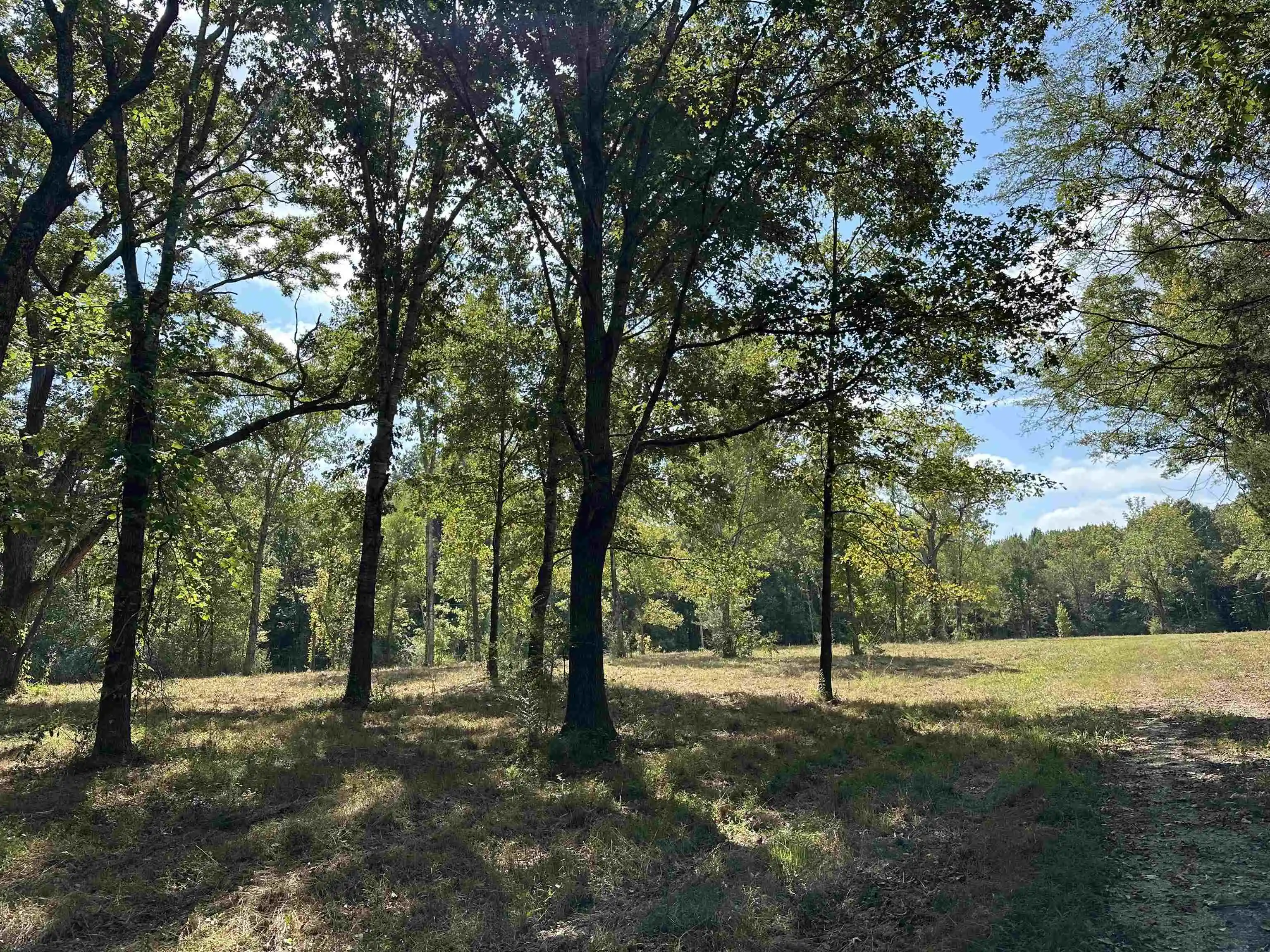 Photo 1 of Land for sale at 260 Mill Rd, Oakland, TN 38060 | MLS# 10231394 | Listing updated on 2026-09-30