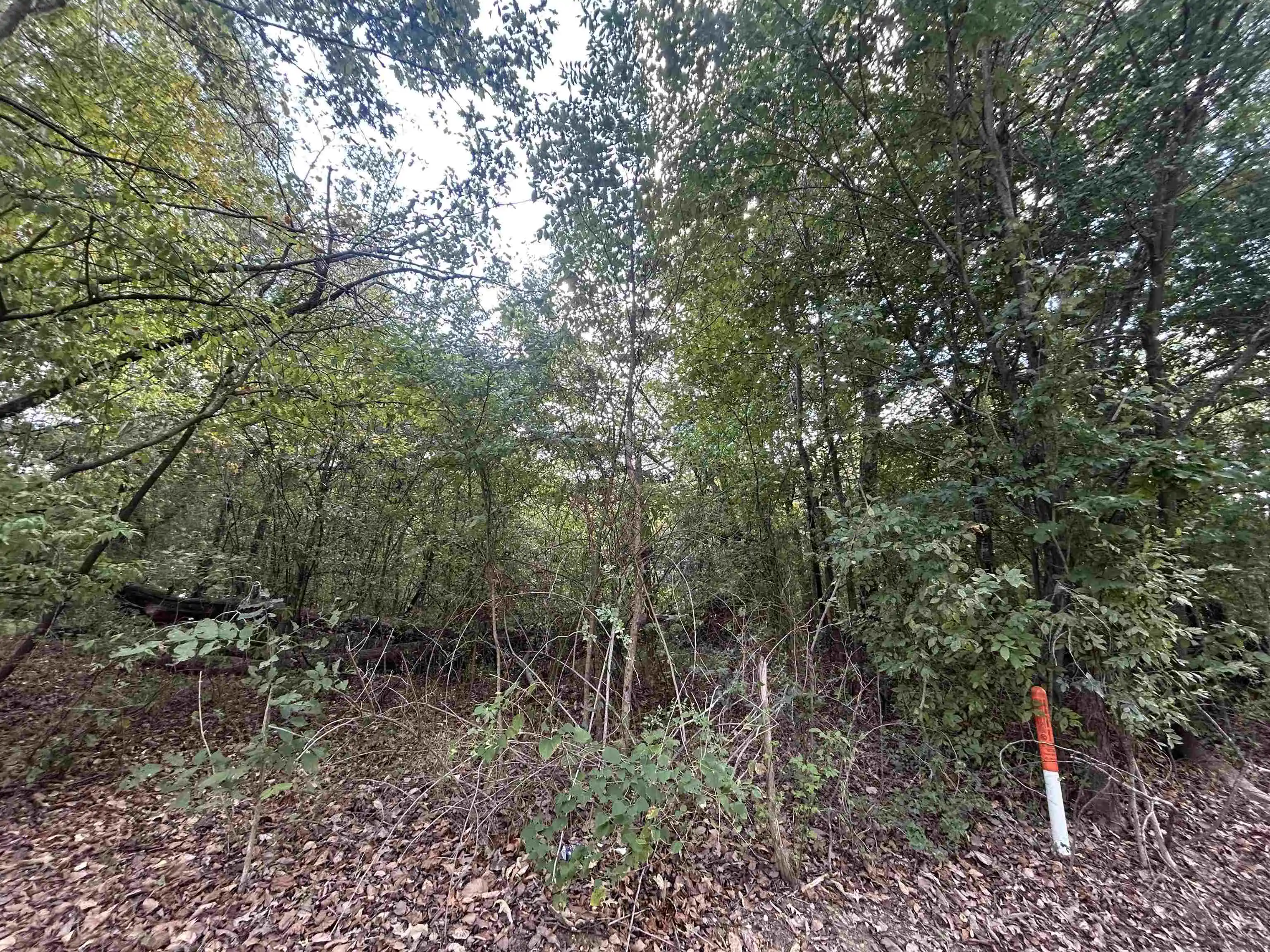 Photo 2 of Sale Pending at 0 Huffman Rd, Brighton, TN 38011 | MLS# 10231455 | Listing updated on 2026-10-06