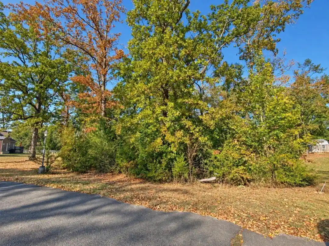 Photo 1 of Land for sale at Lot 12 Beaver Ln, Counce, TN 38326 | MLS# 10231457 | Listing updated on 2026-09-30