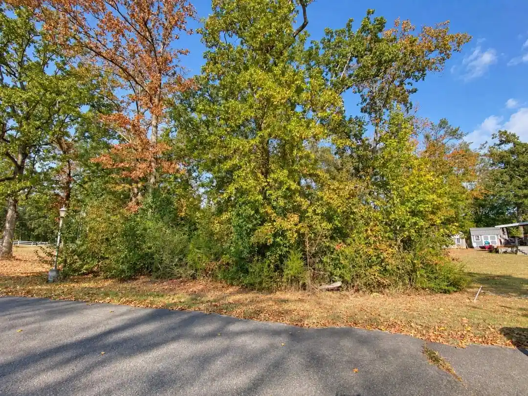 Photo 2 of Land for sale at Lot 12 Beaver Ln, Counce, TN 38326 | MLS# 10231457 | Listing updated on 2026-09-30