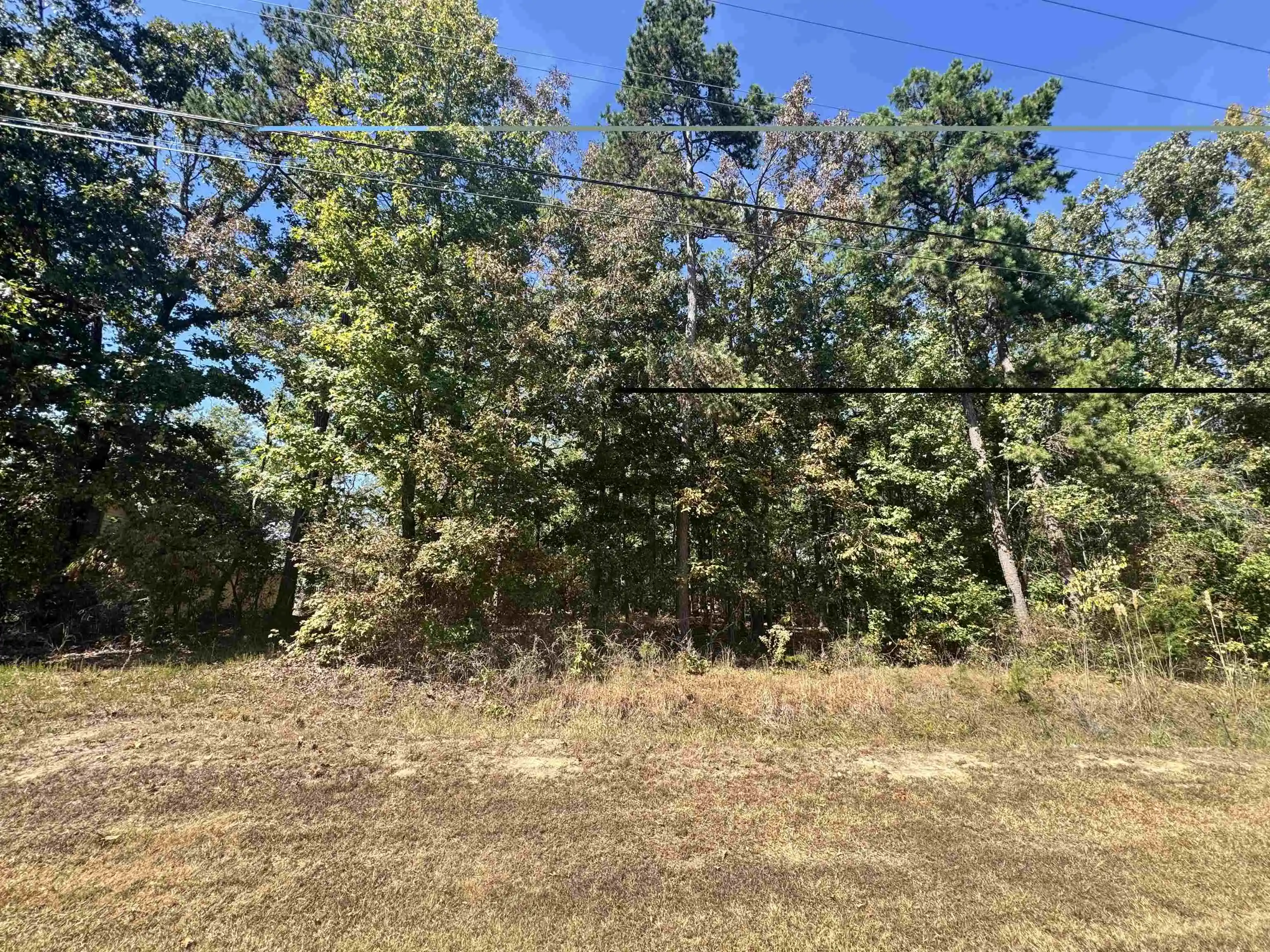 Photo 1 of Land for sale at Lot 216 Sandpiper Rd, Counce, TN 38326 | MLS# 10231486 | Listing updated on 2026-10-01