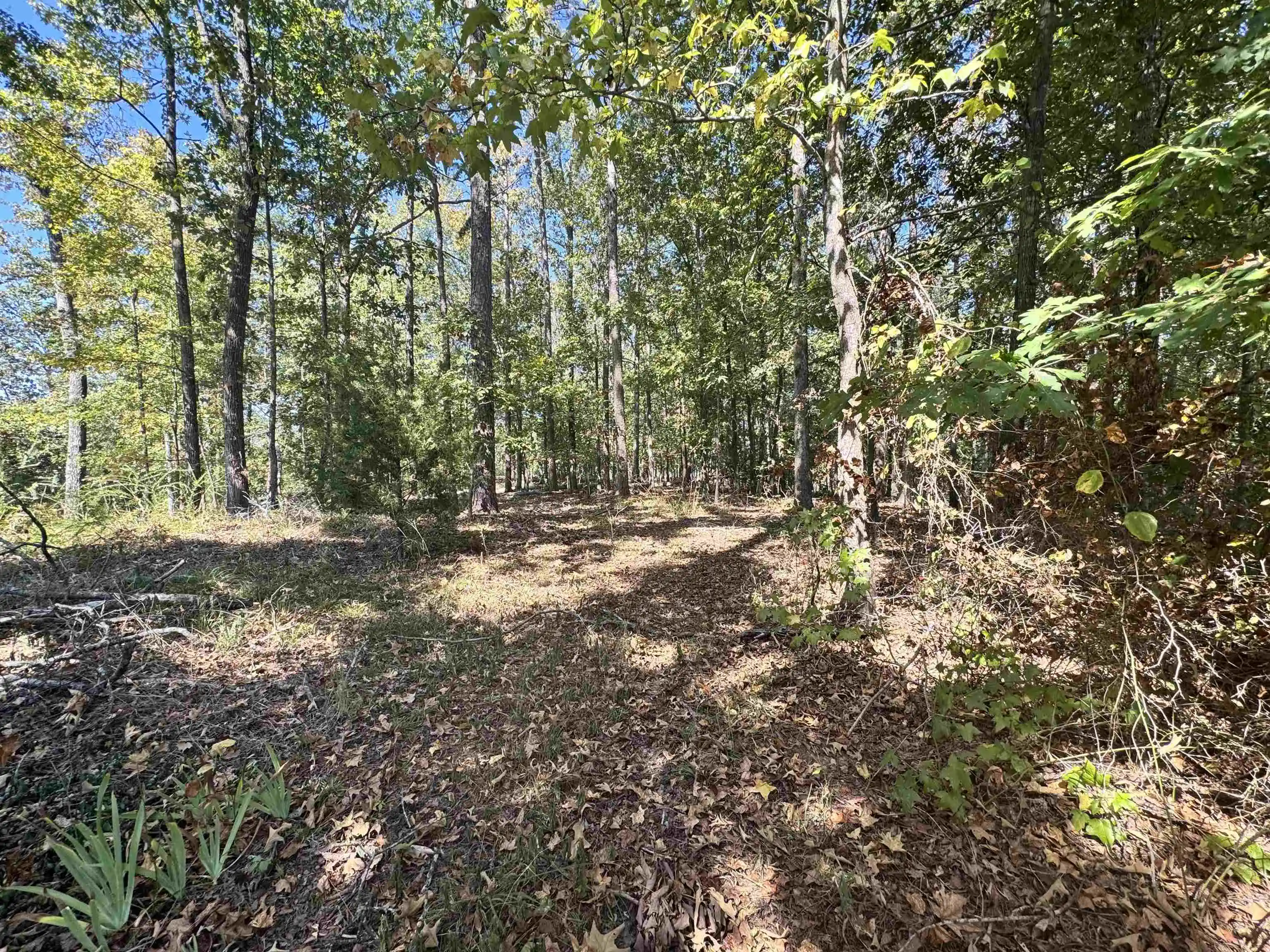 Photo 3 of Land for sale at Lot 216 Sandpiper Rd, Counce, TN 38326 | MLS# 10231486 | Listing updated on 2026-10-01