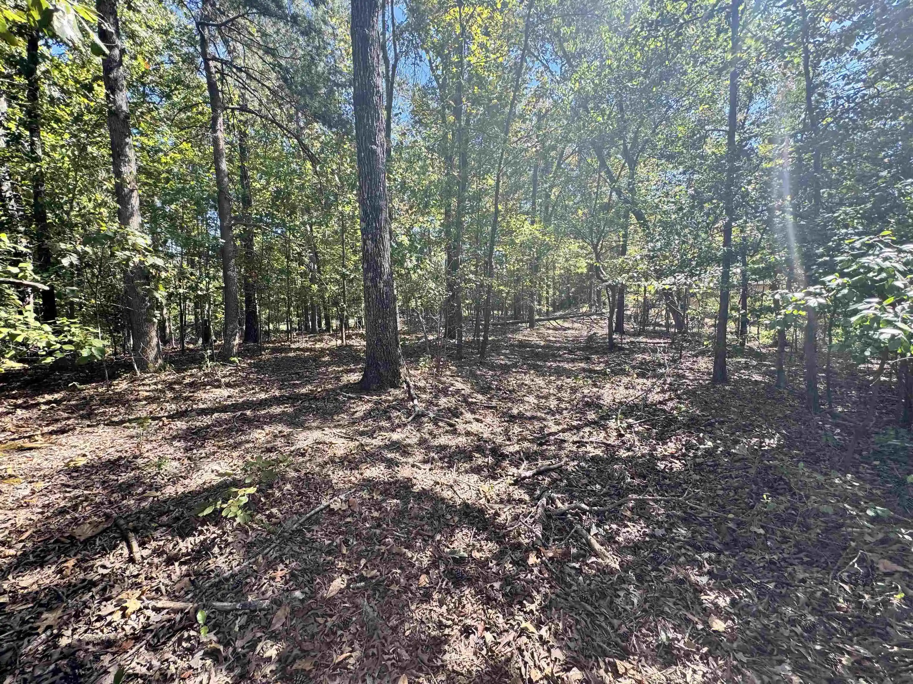 Photo 3 of Land for sale at Lot 216 Sandpiper Rd, Counce, TN 38326 | MLS# 10231486 | Listing updated on 2026-10-01