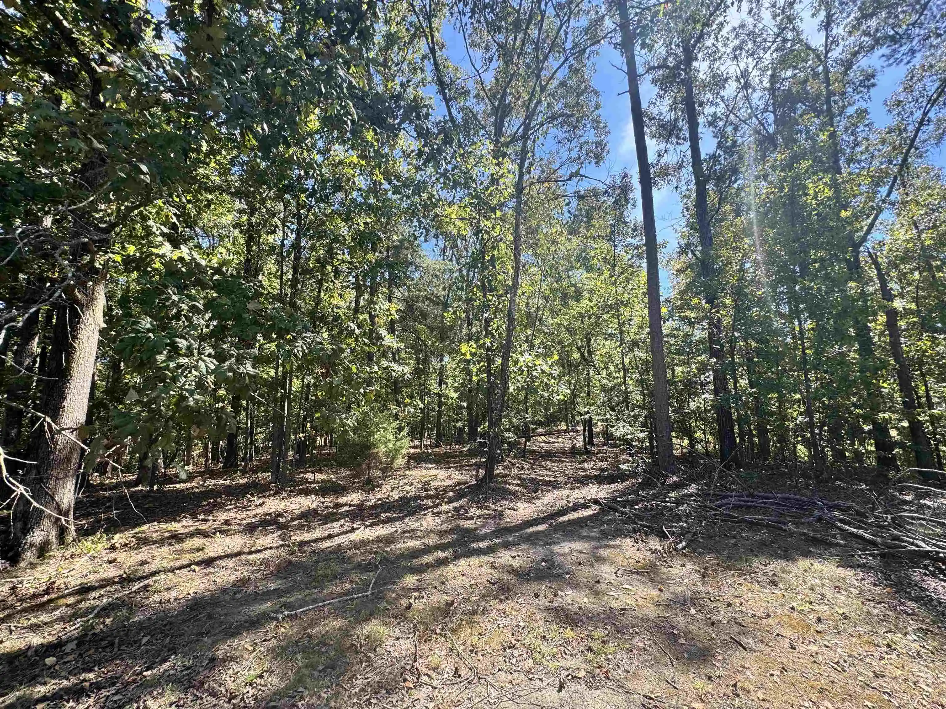 Photo 4 of Land for sale at Lot 216 Sandpiper Rd, Counce, TN 38326 | MLS# 10231486 | Listing updated on 2026-10-01