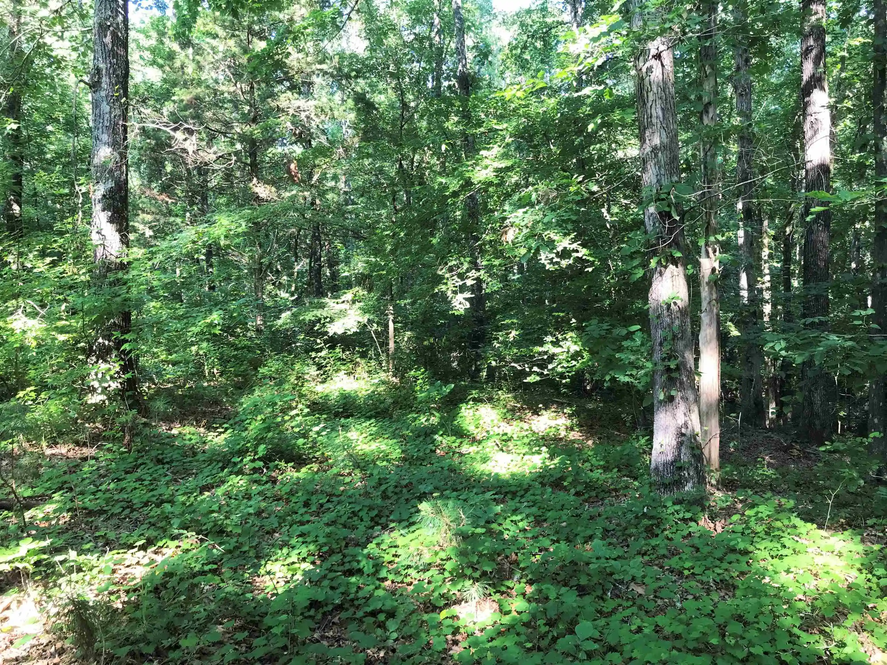 Photo 1 of Land for sale at Hwy 142/kimberly Ln, Counce, TN 38326 | MLS# 10231493 | Listing updated on 2026-10-01
