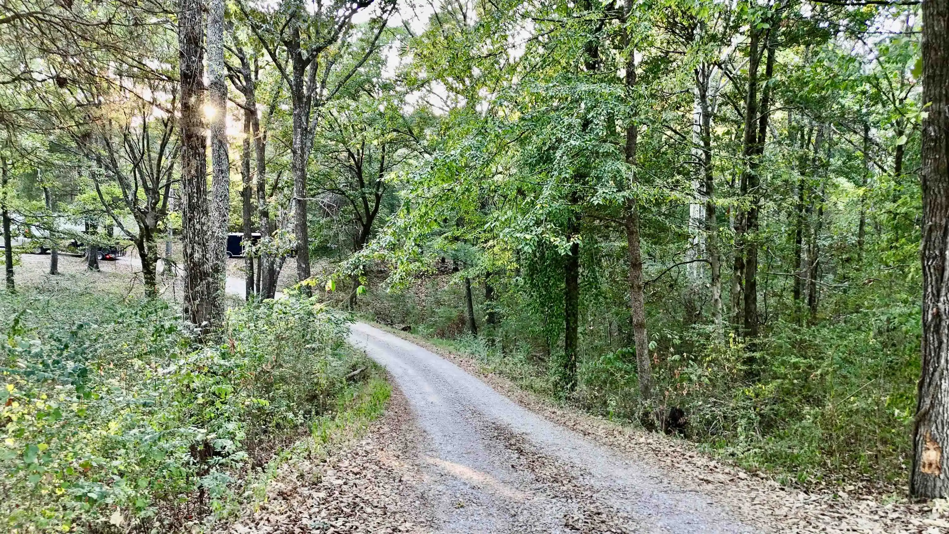 Photo 4 of Single family home for sale at 1125 Walton Rd, Bolivar, TN 38008 | MLS# 10231551 | Listing updated on 2026-10-08