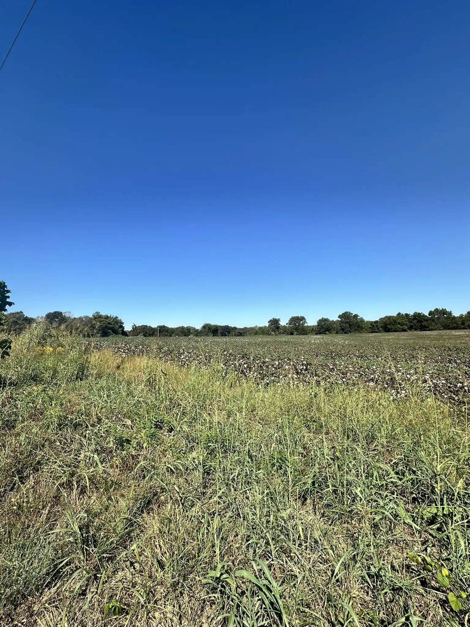 Photo 3 of Land for sale at 02 64 Highway, Bolivar, TN 38008 | MLS# 10231619 | Listing updated on 2026-10-02