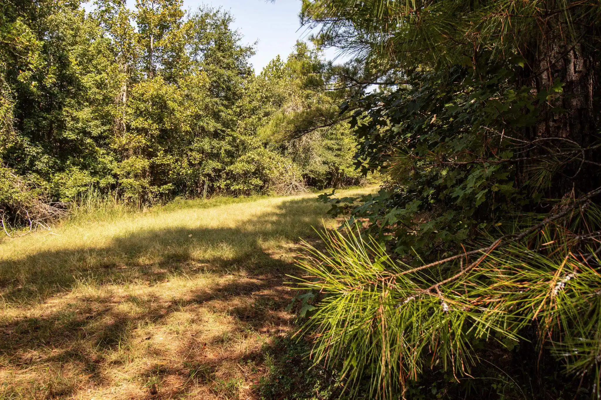 Photo 3 of Land for sale at 0 350 Highway, Counce, TN 38326 | MLS# 10231622 | Listing updated on 2026-10-02
