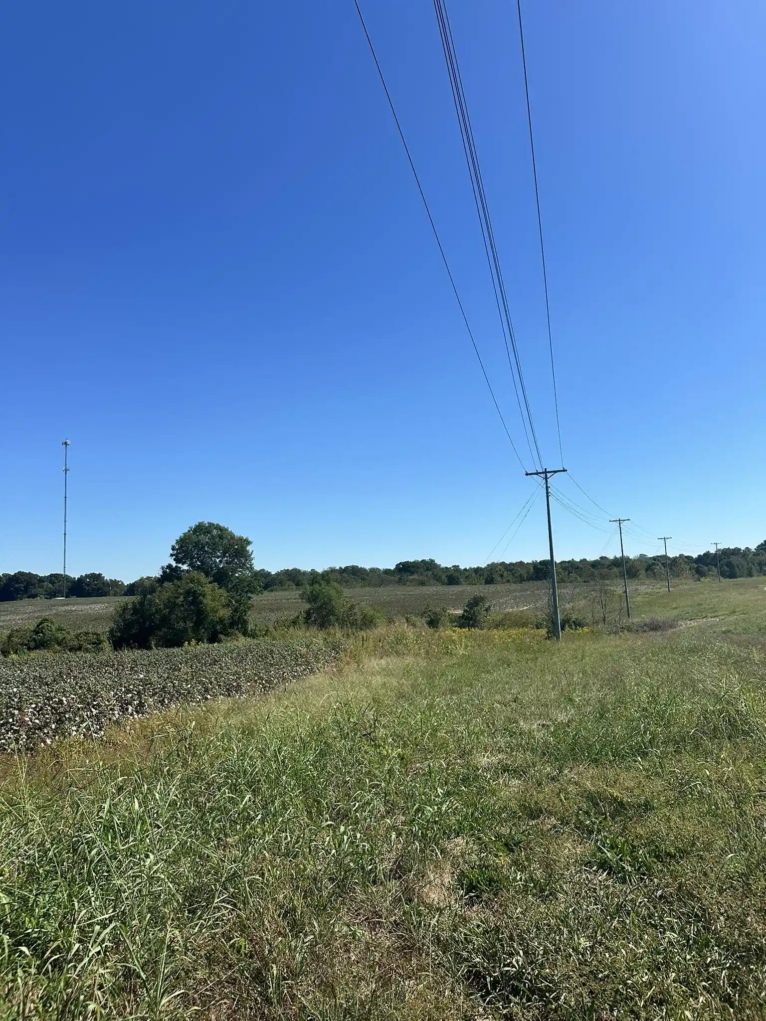 Photo 3 of Land for sale at 03 64 Highway, Bolivar, TN 38008 | MLS# 10231624 | Listing updated on 2026-10-02