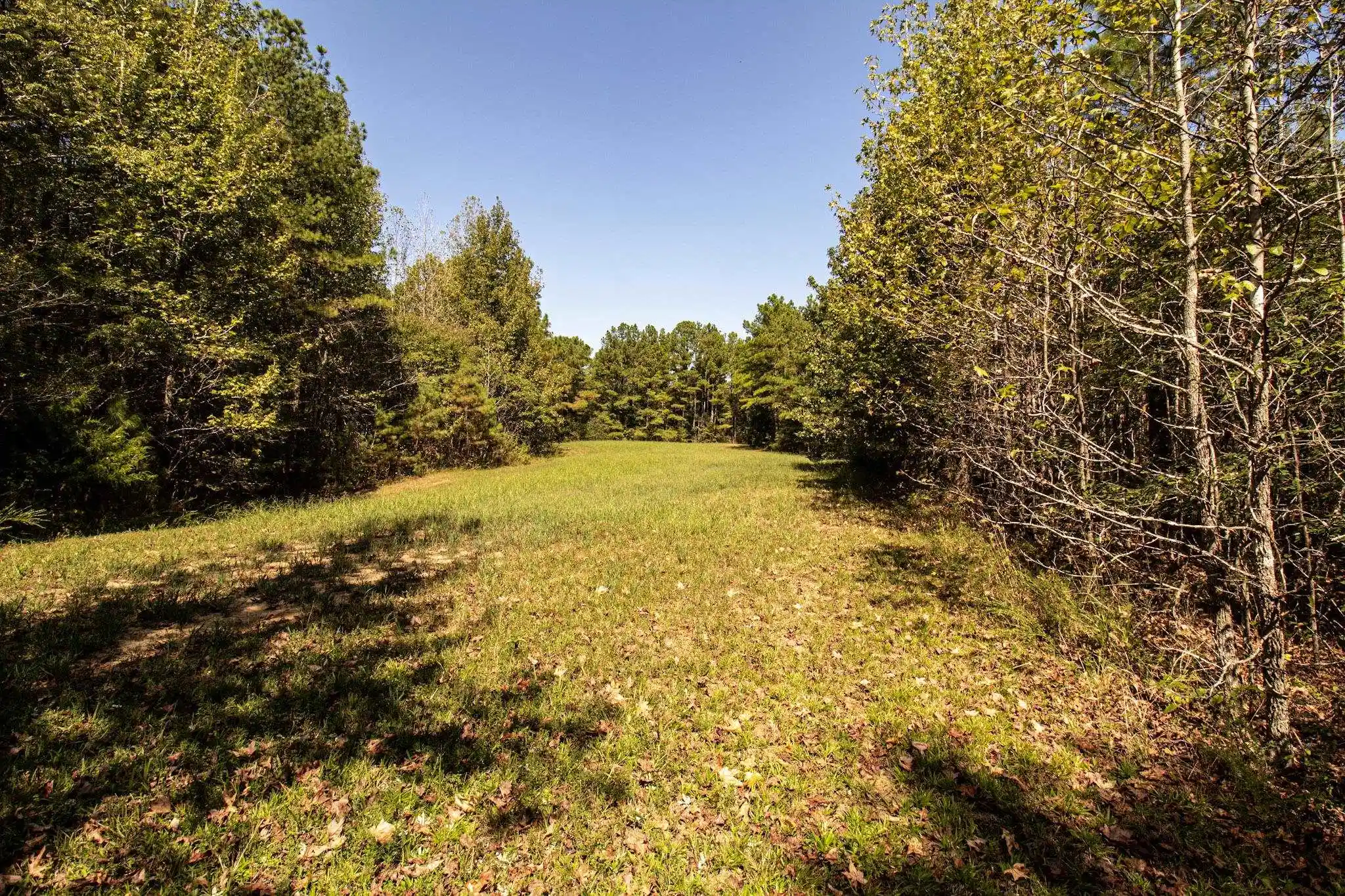 Land for sale at 0 125 Highway, Toone, TN 38381 | MLS# 10231627