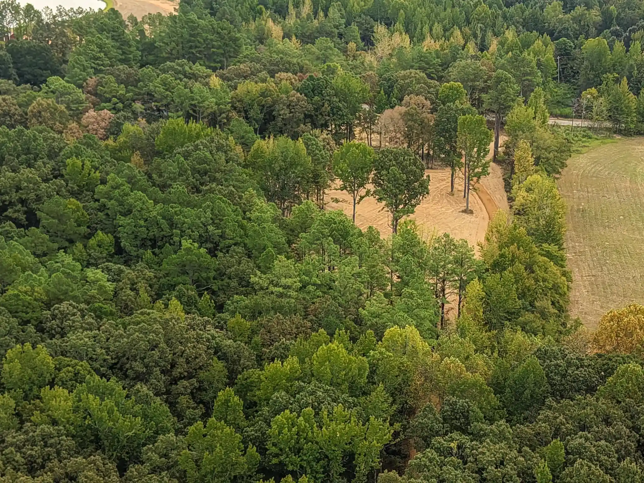 Photo 4 of Land for sale at 0 Bateman Rd, Moscow, TN 38057 | MLS# 10231678 | Listing updated on 2026-10-02