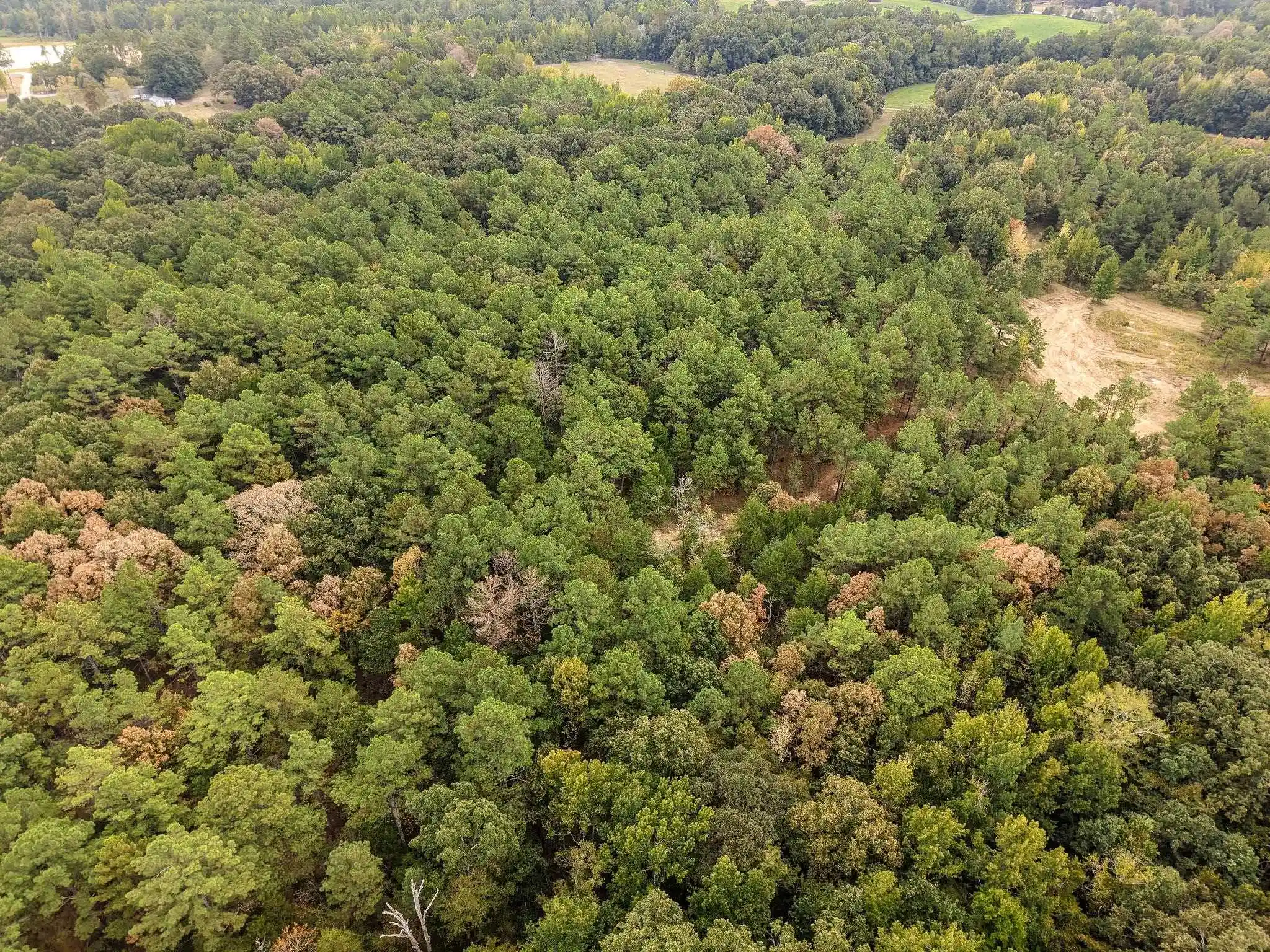 Photo 36 of Land for sale at 0 Bateman Rd, Moscow, TN 38057 | MLS# 10231678 | Listing updated on 2026-10-02