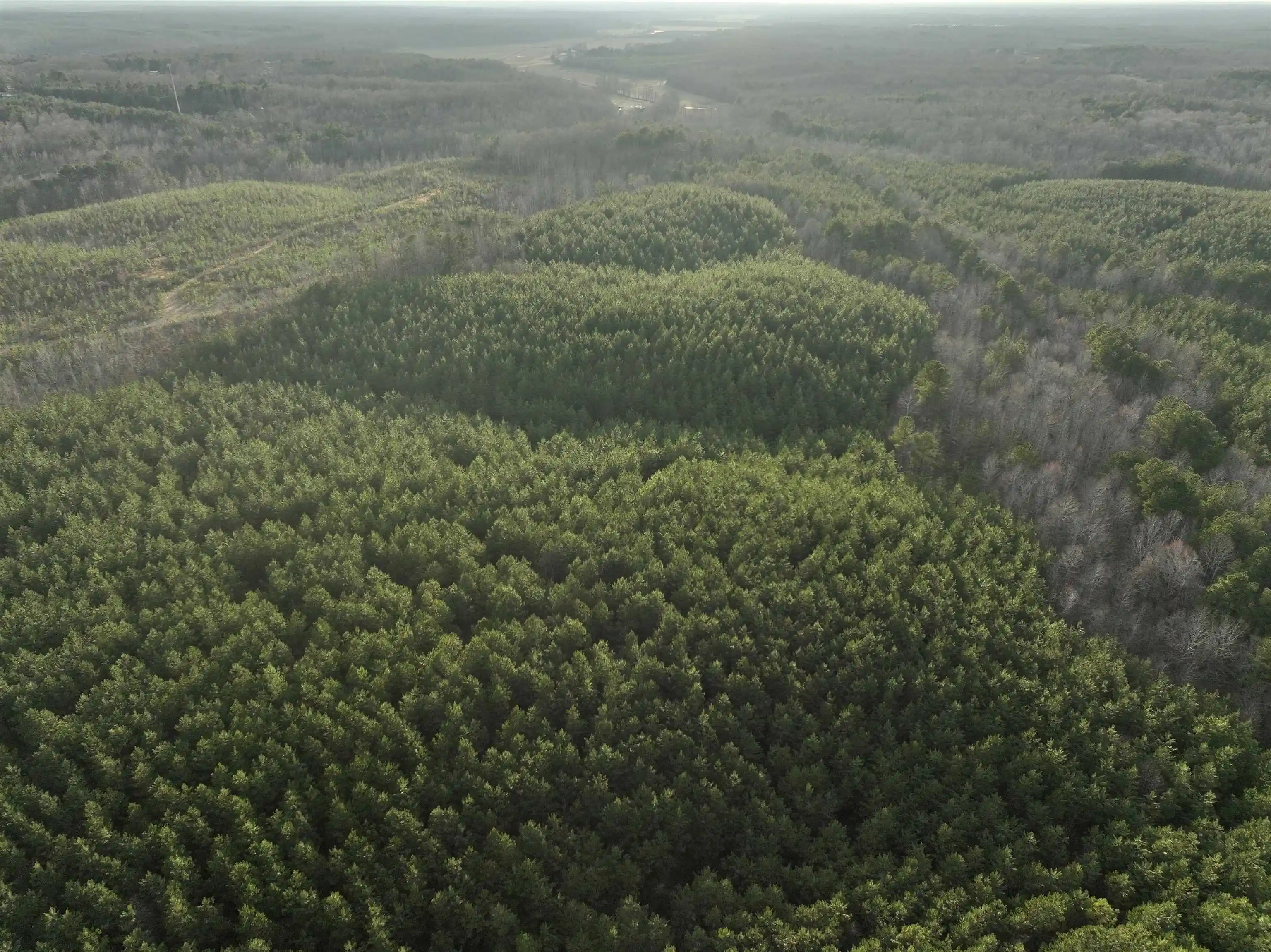 Photo 2 of Land for sale at Race Path Rd, Stantonville, TN 38379 | MLS# 10231691 | Listing updated on 2026-10-02