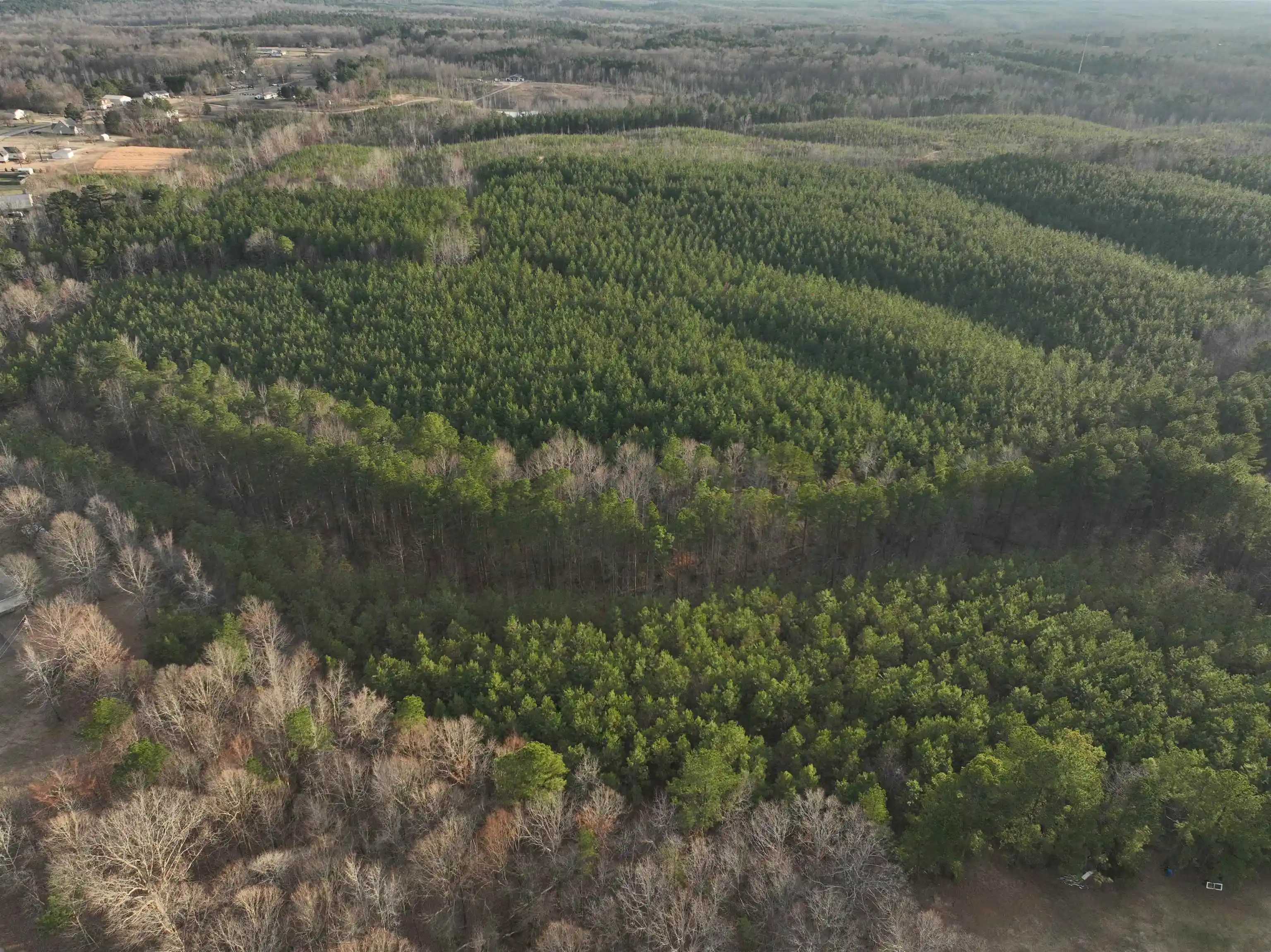 Photo 4 of Land for sale at Race Path Rd, Stantonville, TN 38379 | MLS# 10231691 | Listing updated on 2026-10-02