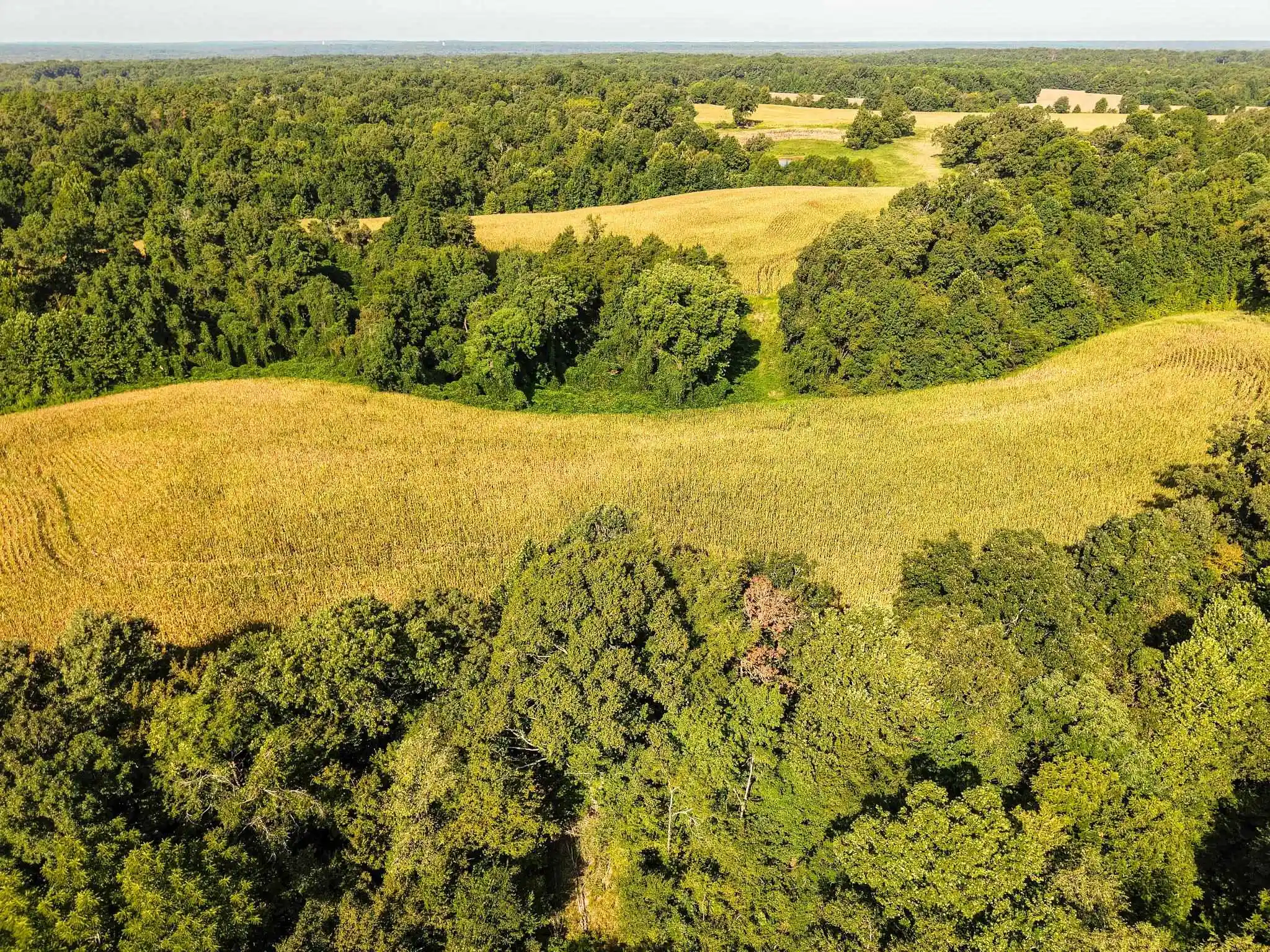 Land for sale at 2 Tn 18 Hwy, Toone, TN 38381 | MLS# 10231694
