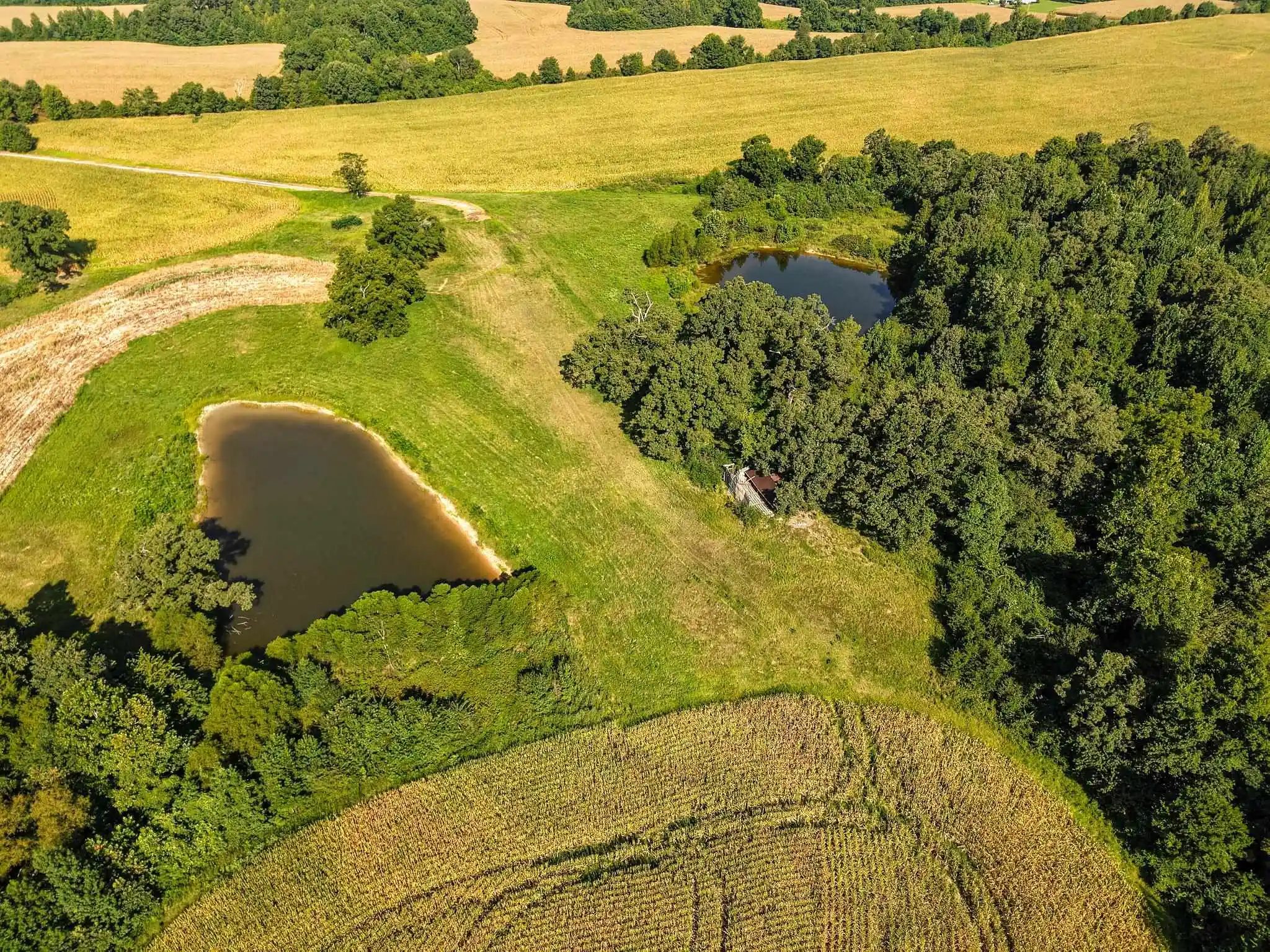 Photo 2 of Land for sale at 2 Tn 18 Hwy, Toone, TN 38381 | MLS# 10231694 | Listing updated on 2026-10-02