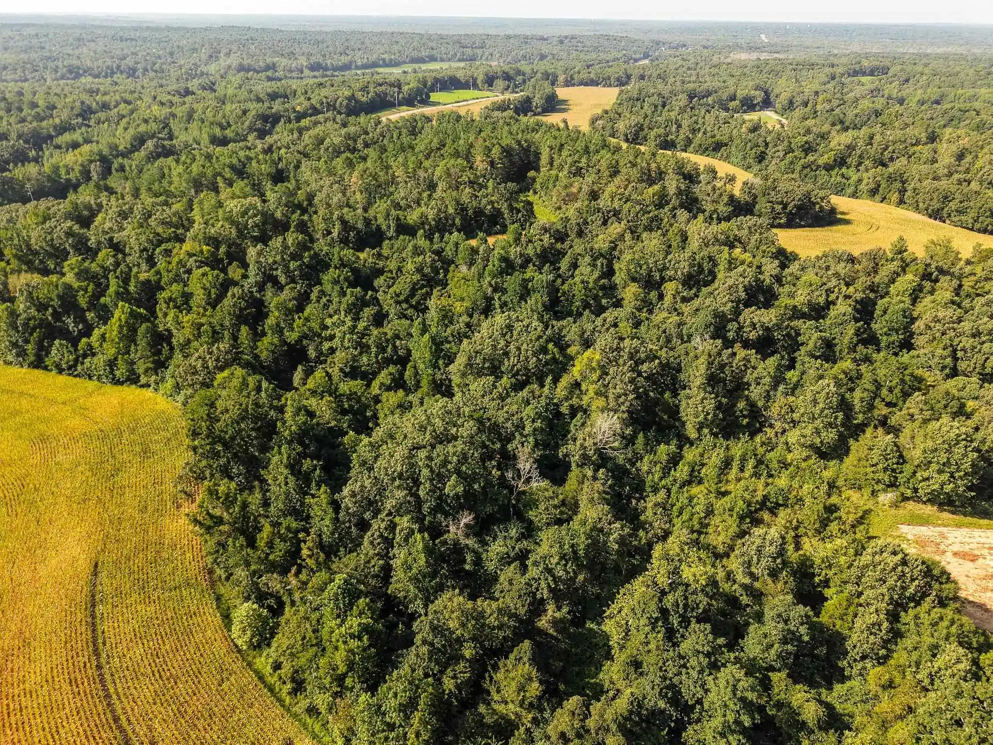 Photo 3 of Land for sale at 2 Tn 18 Hwy, Toone, TN 38381 | MLS# 10231694 | Listing updated on 2026-10-02