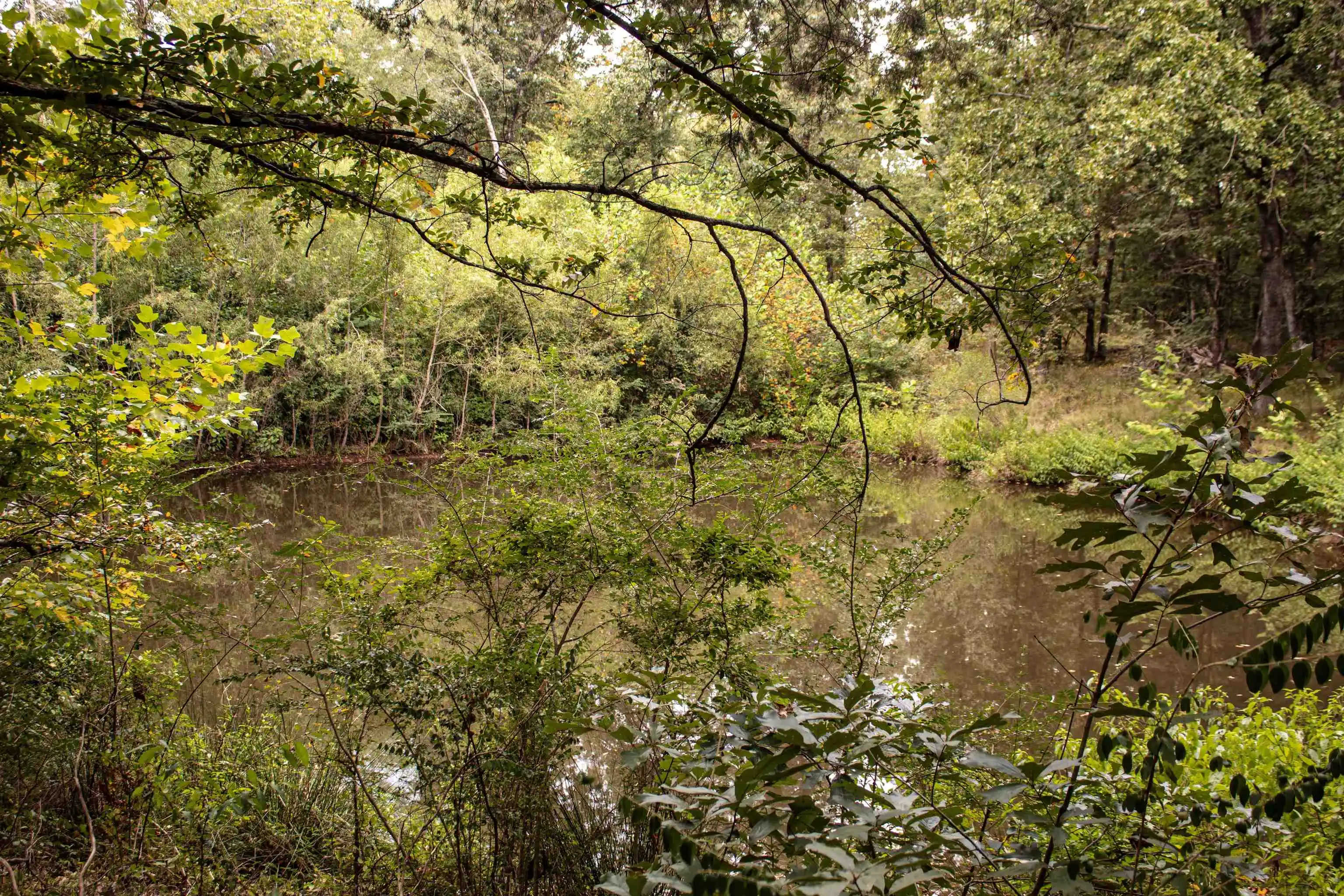 Photo 4 of Land for sale at 2 Tn 18 Hwy, Toone, TN 38381 | MLS# 10231694 | Listing updated on 2026-10-02