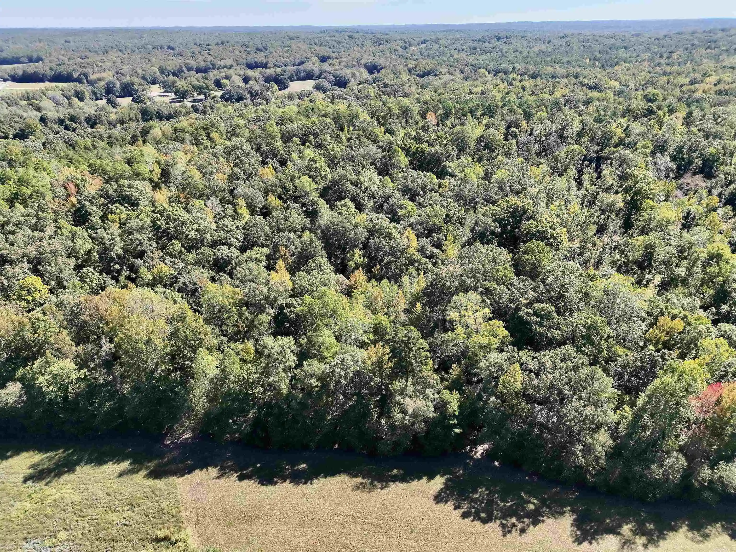 Photo 3 of Land for sale at 0 Cora Ln, Toone, TN 38381 | MLS# 10231712 | Listing updated on 2026-10-03